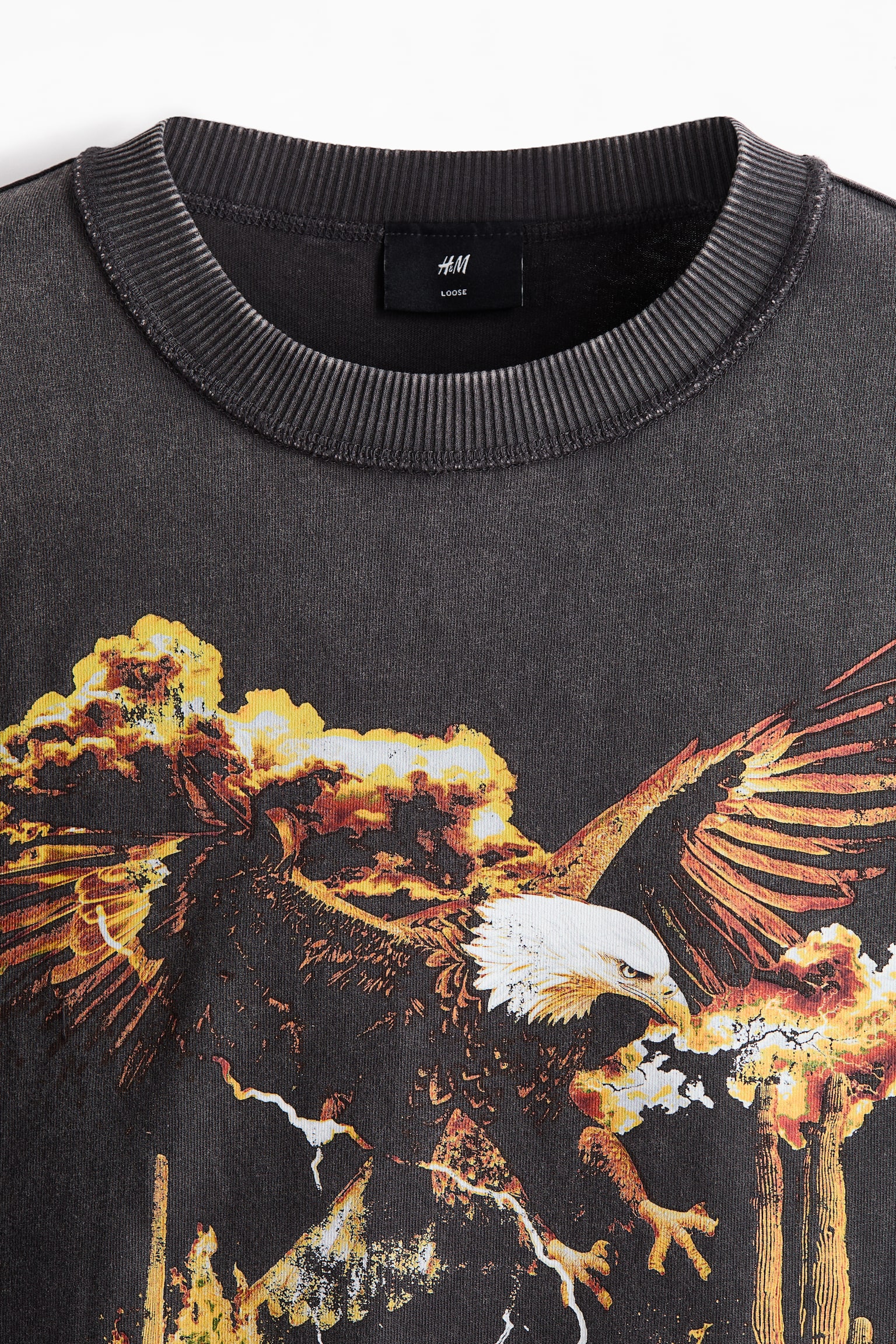 טישירט עם הדפס Loose Fit - אפור כהה/Rodeo Sunset/שחור/Workwear/אדום/Sunset/אפור בהיר/Not for Ceremony - 6