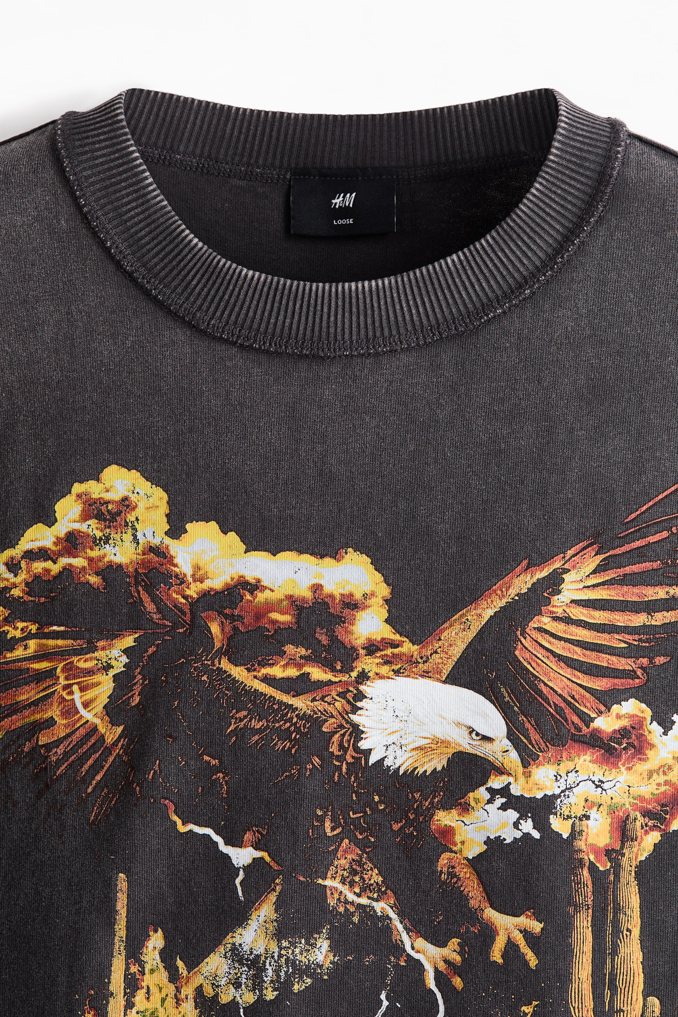 Xem ảnh lớn hơn: Áo thun in hình Loose Fit - Màu xám đậm/Rodeo Sunset - Men | H&M VN 6