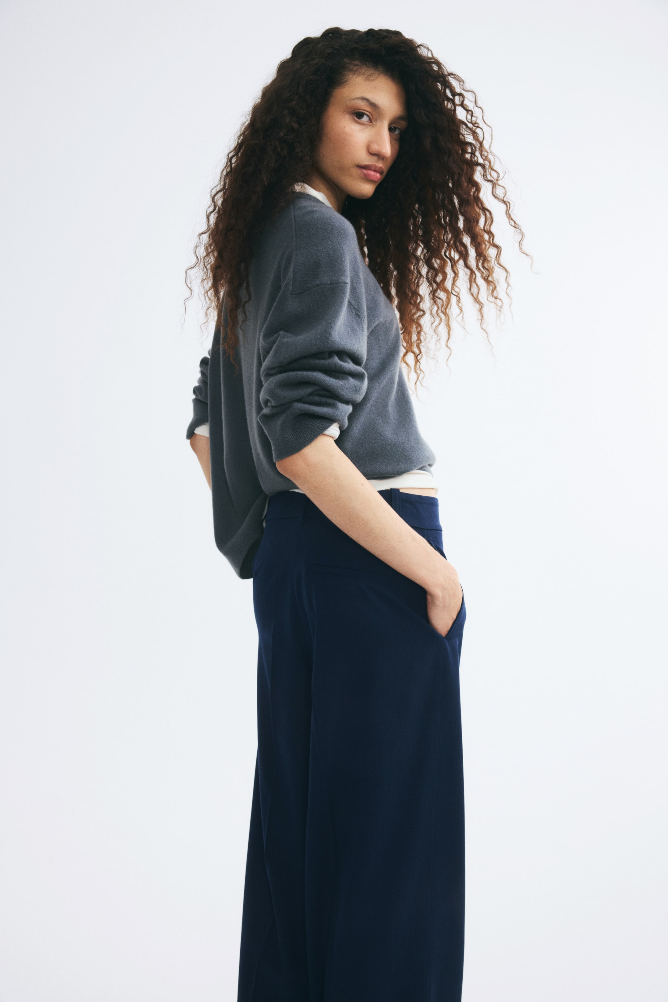 Wide-Leg Dress Pants