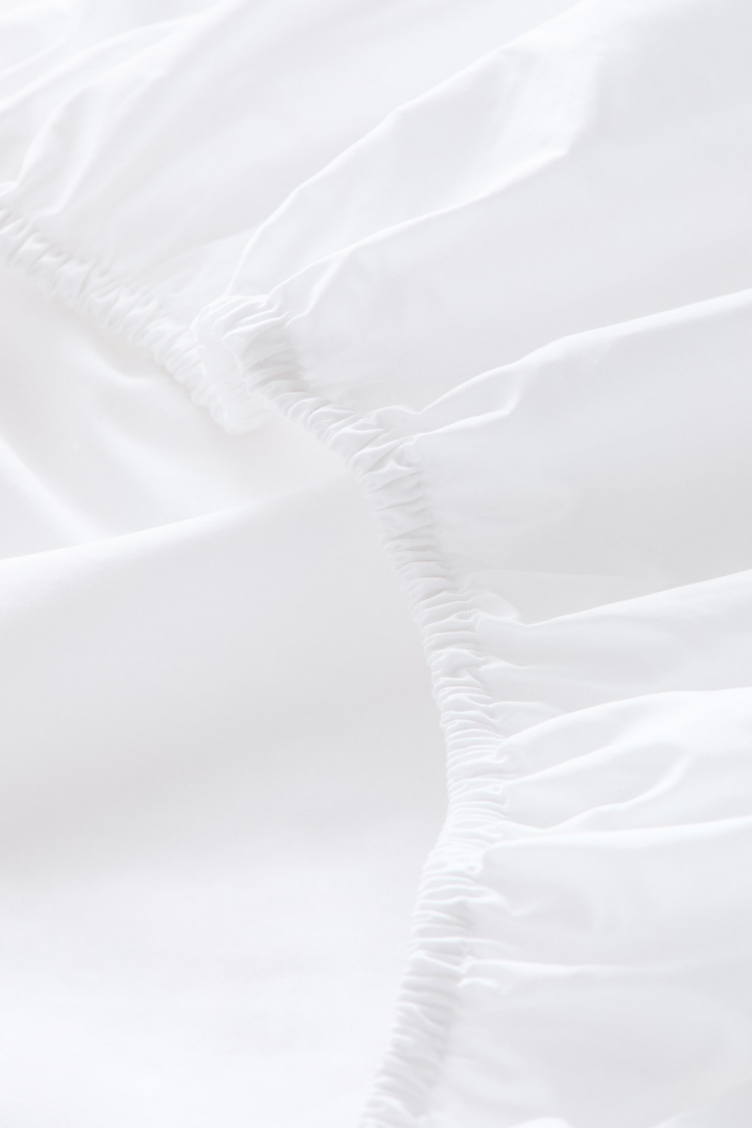 Cotton percale fitted sheet - White - 3