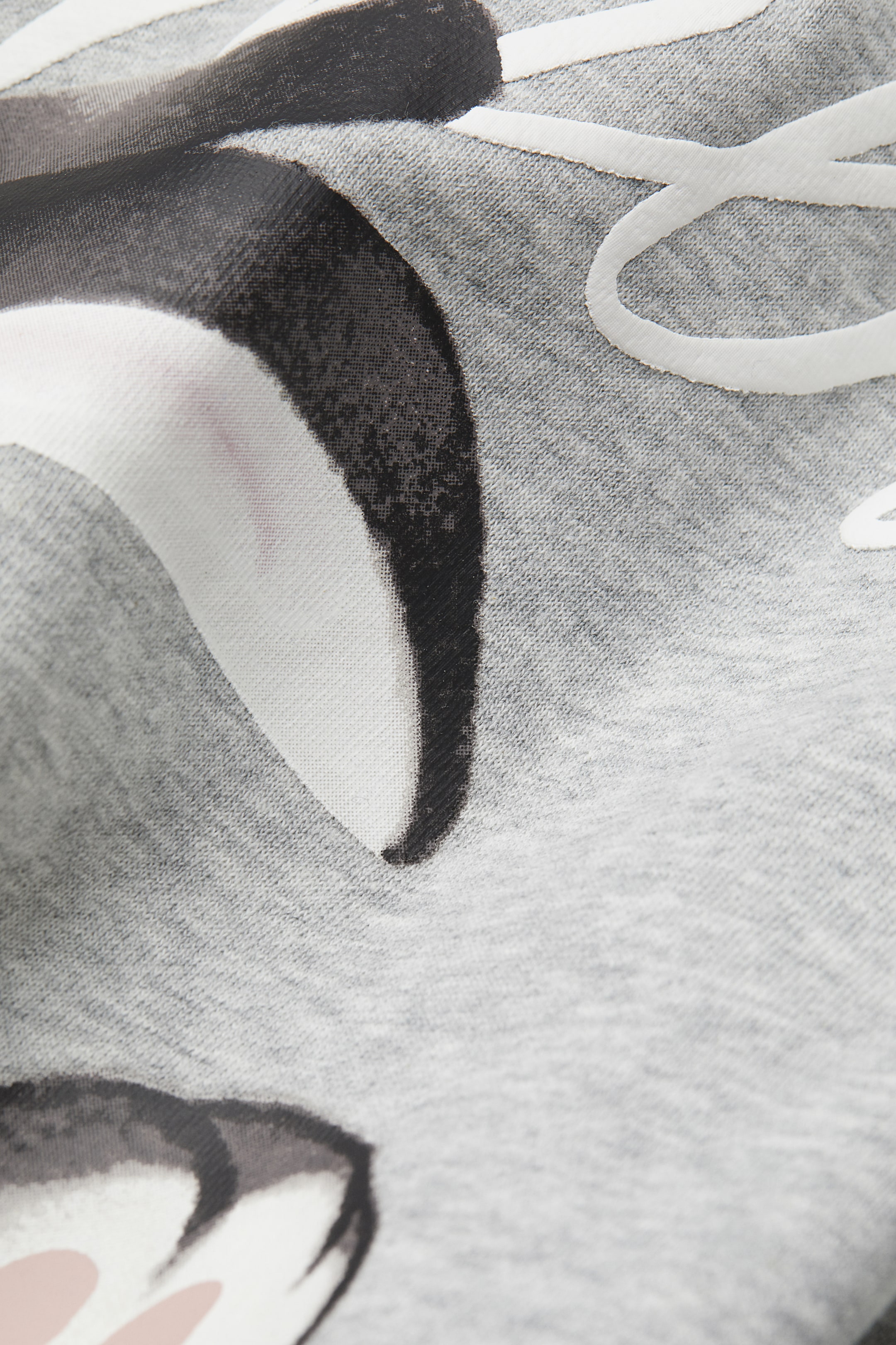 Grotere afbeelding bekijken: H&M+ Capuchonsweater met print - Lichtgrijs gemêleerd/Bambi - DAMES | H&M NL 2