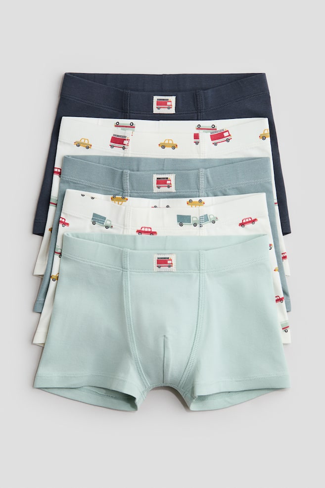 5-pack Boxer Briefs - Cream/vehicles/Blue/dinosaurs/Navy blue/animals/Light green/crocodiles/Green/striped - 1