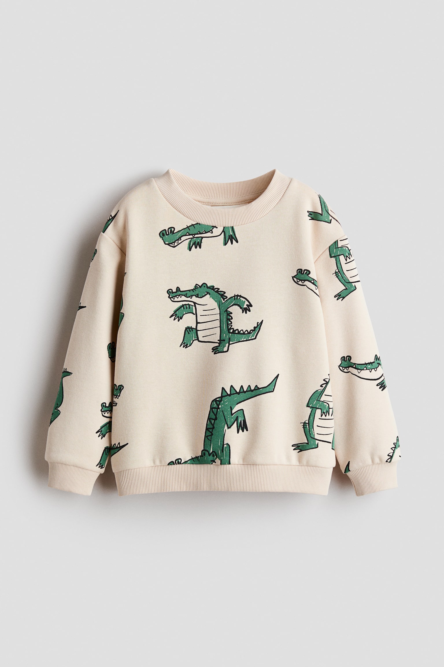 Print Brushed Inside Sweater - Light beige/Crocodiles/Dark brown/Stripe/Green/Always Happy