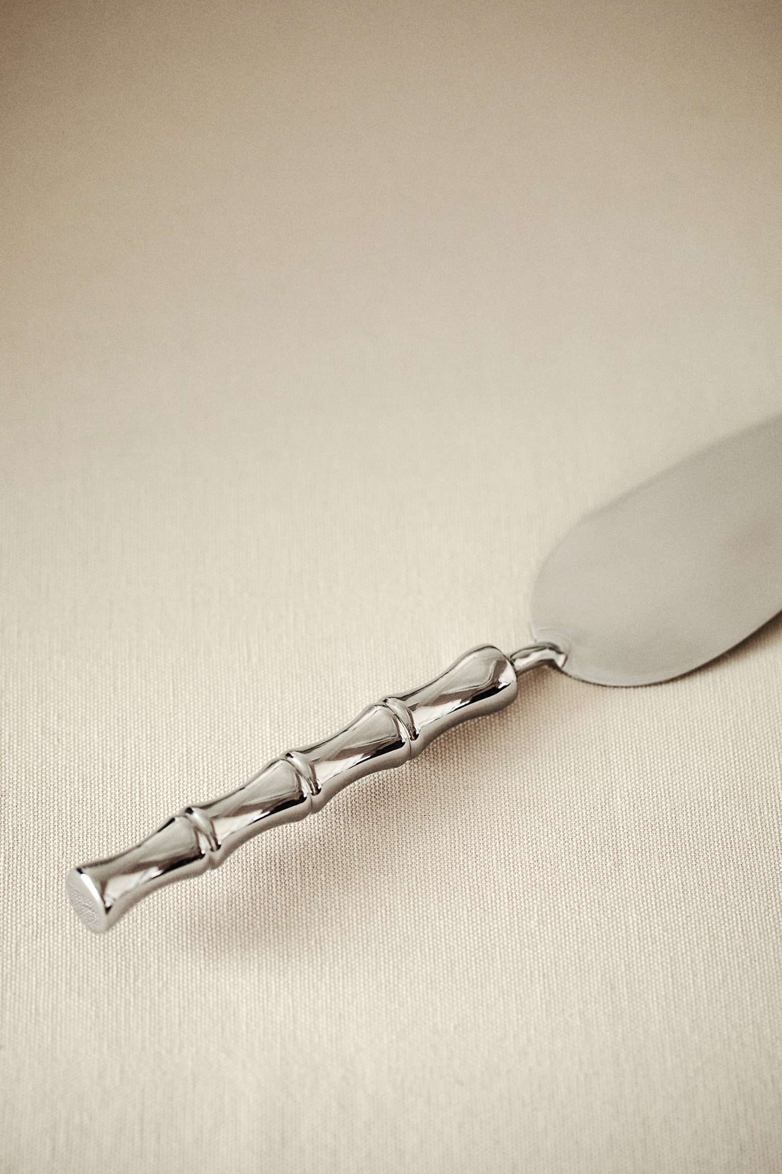 Metal cake server - Silver-coloured - 2