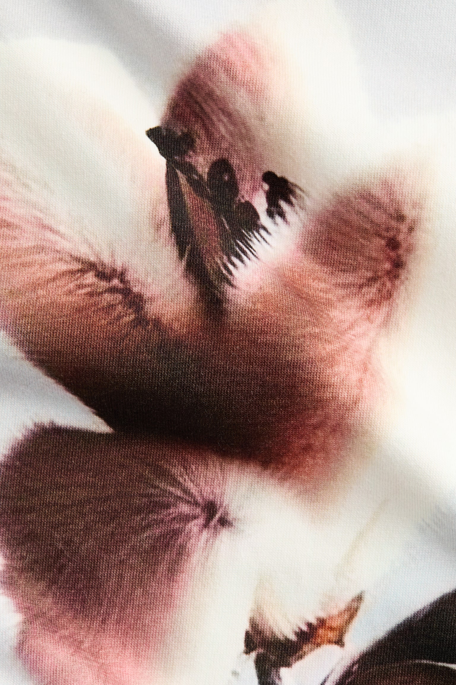 טישירט עם הדפס - אפור בהיר - 5