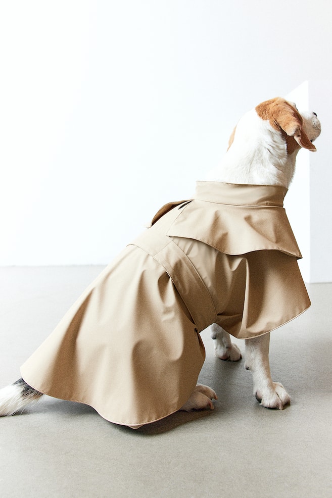 Dog trench coat - Beige - 1