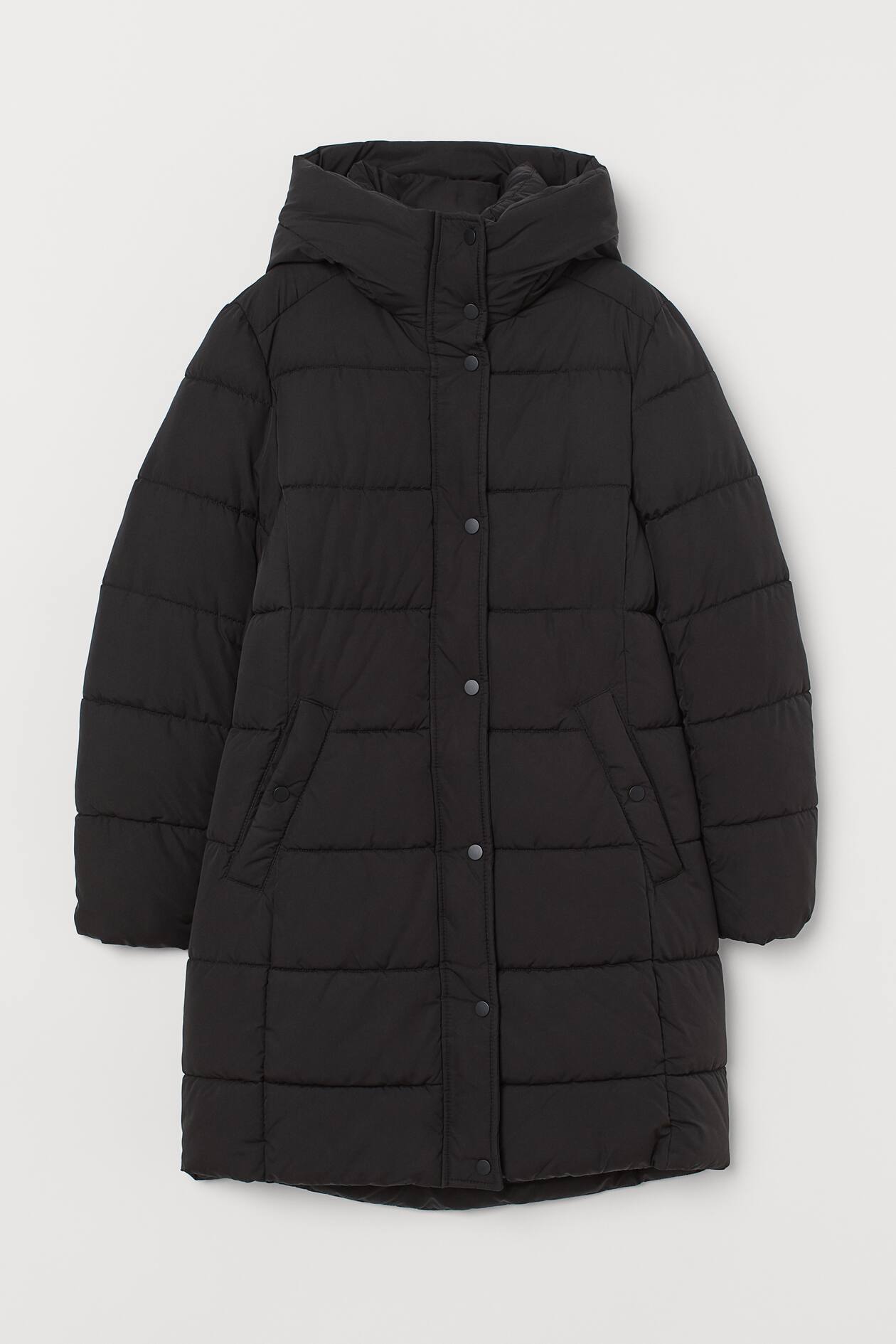 Padded hooded jacket - Black - Ladies | H&M GB