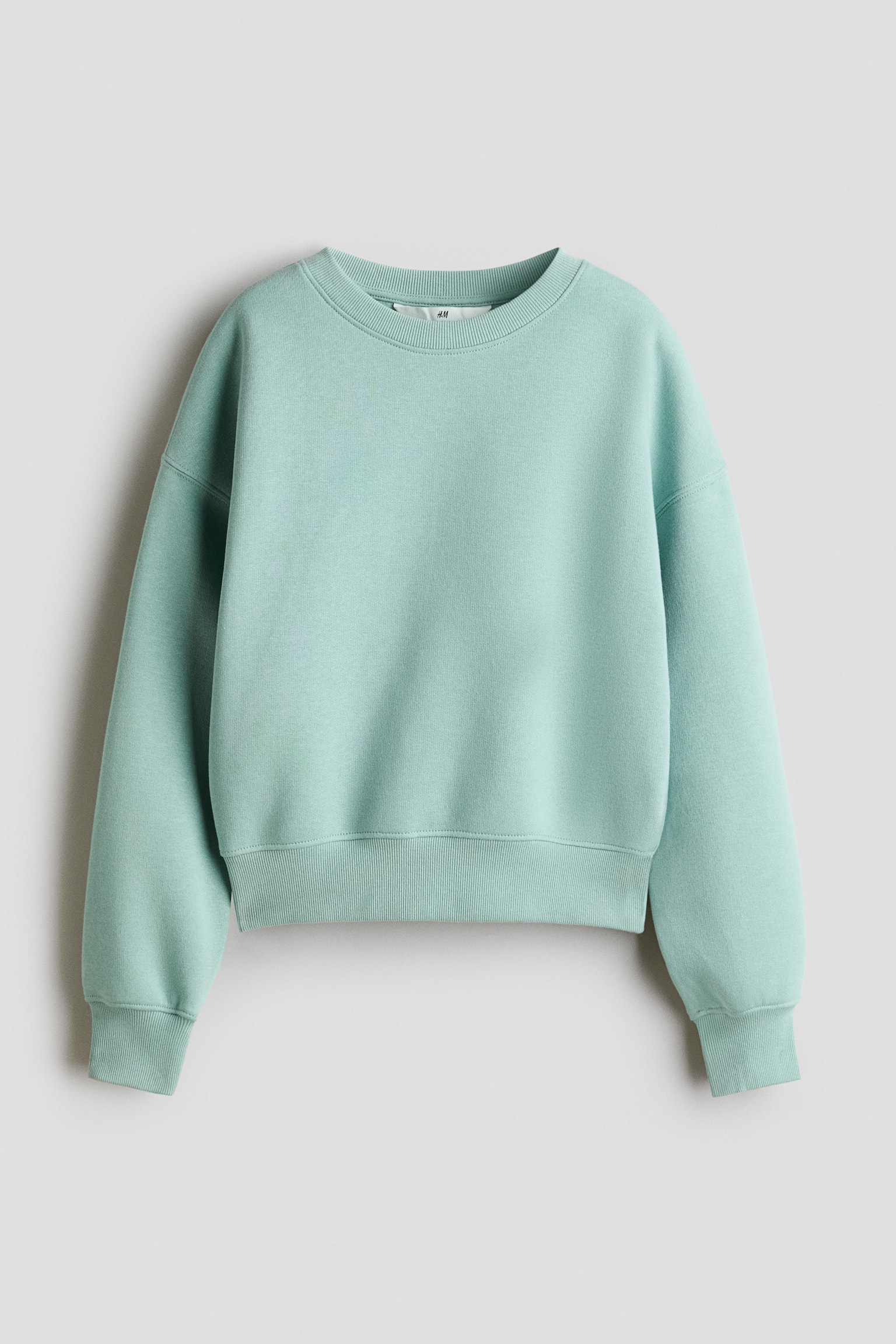 A light green sweatshirt is hanging in a front-facing view, showing a loose fit with dropped shoulders and long sleeves. It features a rib-trimmed round neckline, ribbed cuffs, and a ribbed hem.