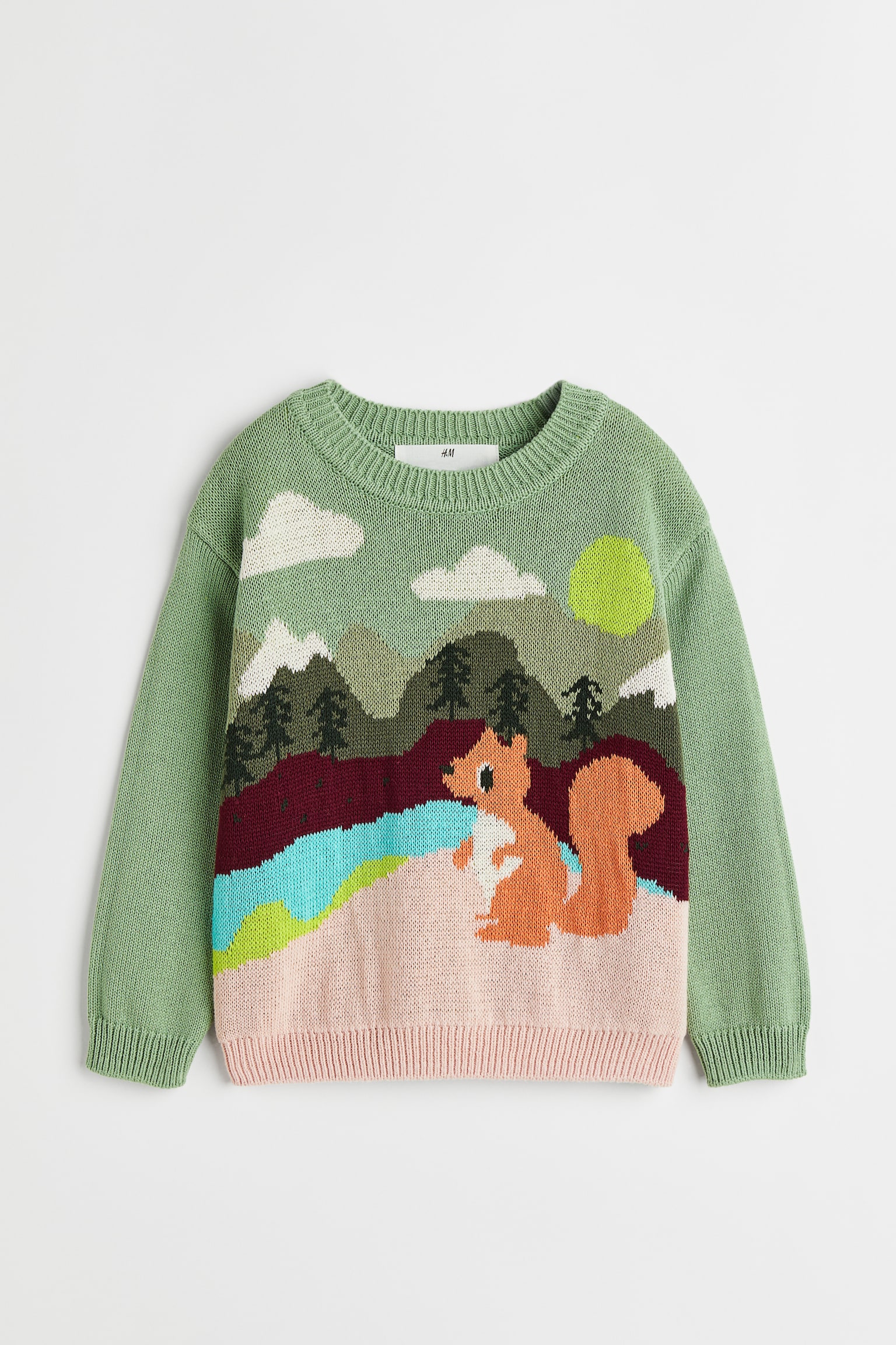 Cotton Sweater - Green/Squirrel - 1