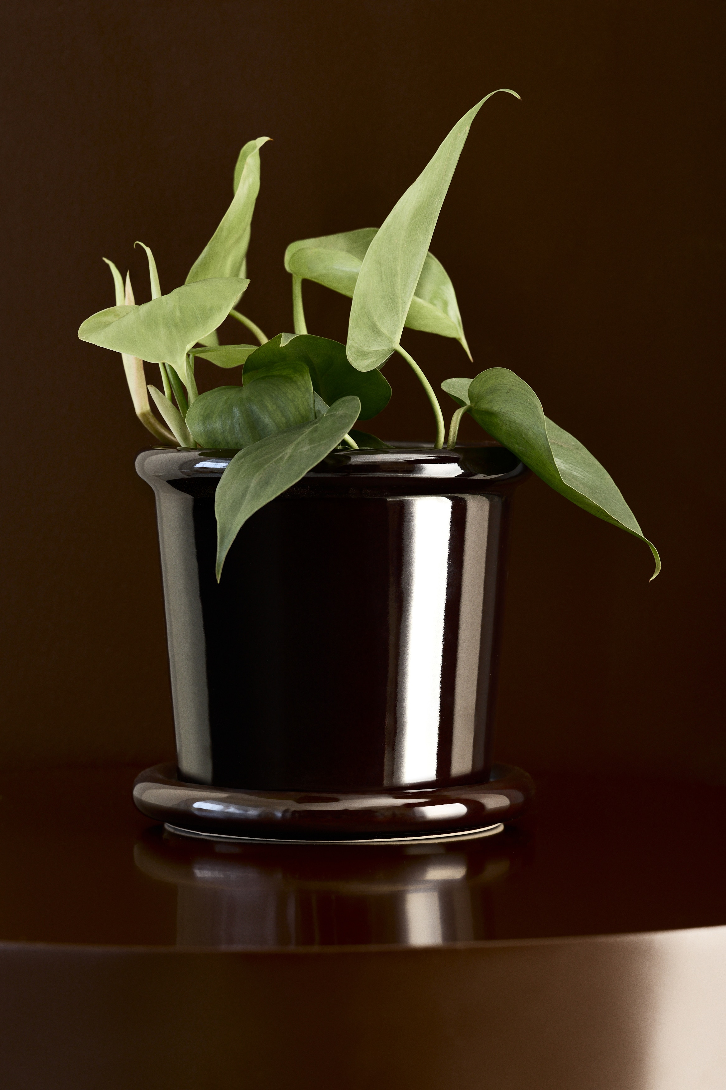 Pot de fleurs en grès cérame avec soucoupe - Brun foncé/Jaune clair/Blanc/Vert clair