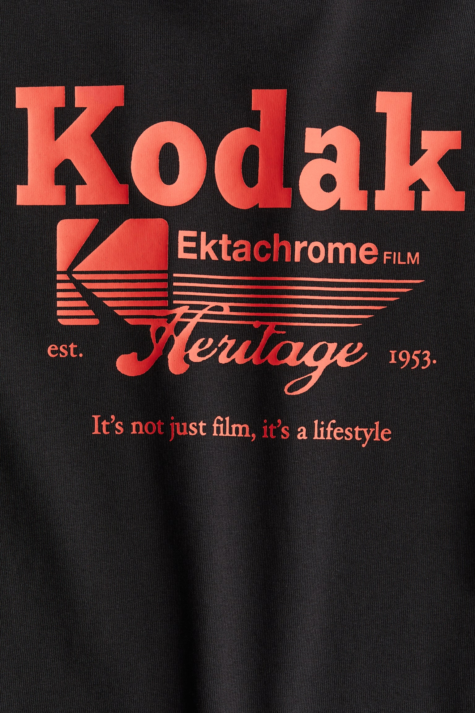 Print-motif cotton T-shirt - Black/Kodak/White/Kodak/Dark khaki green/Kodak - 7