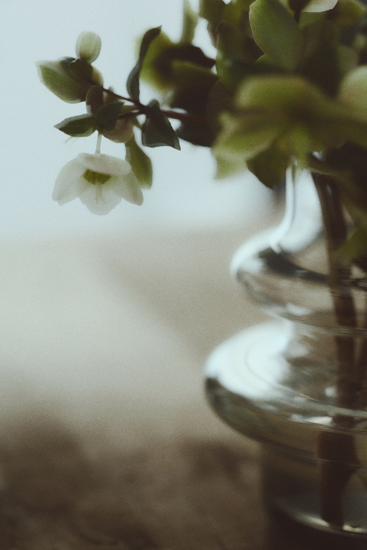 Piccolo vaso in vetro a strati - Trasparente/Rosa - 2