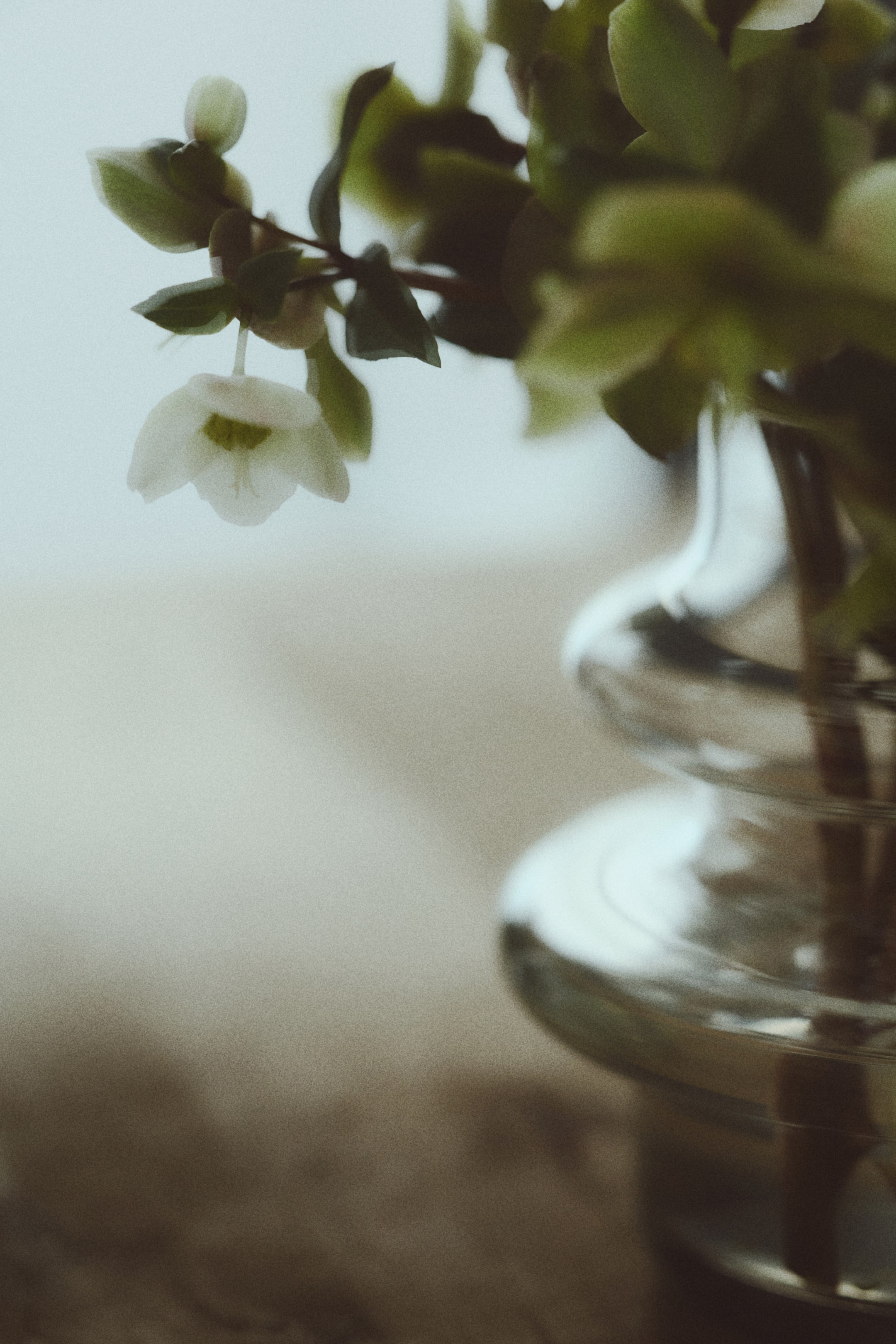 Visa större bild: Låg glasvas - Transparent | H&M SE 1