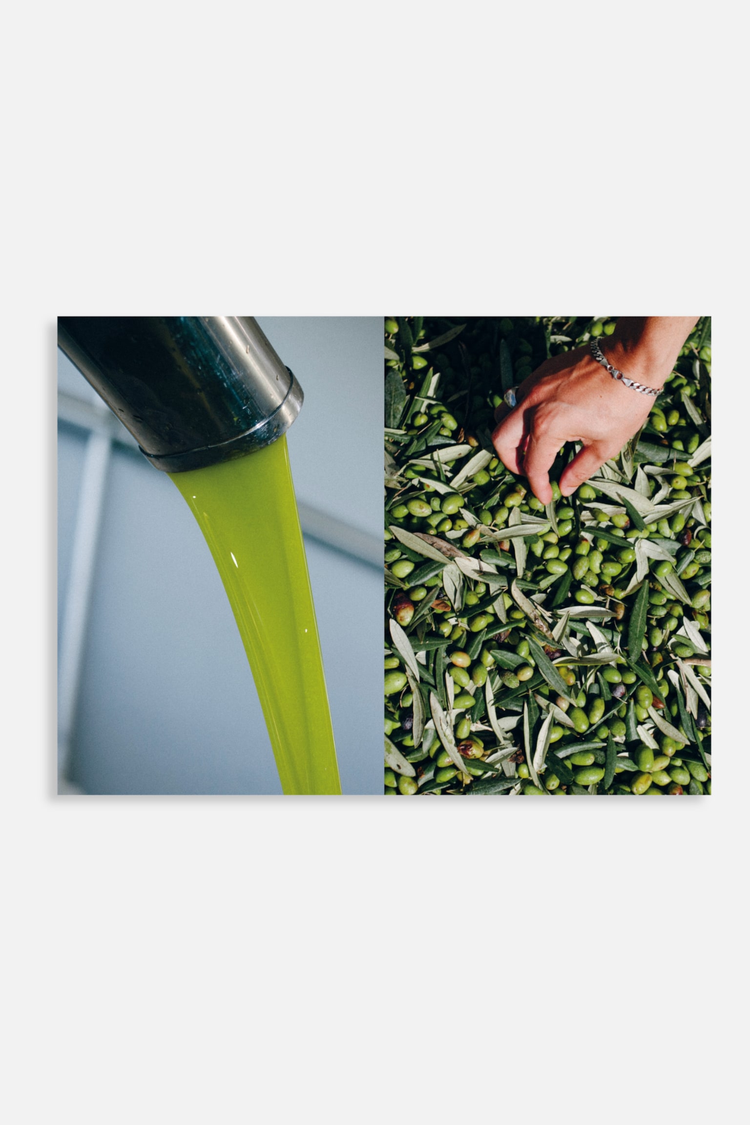 Olive Oil-Olive Oil - 2