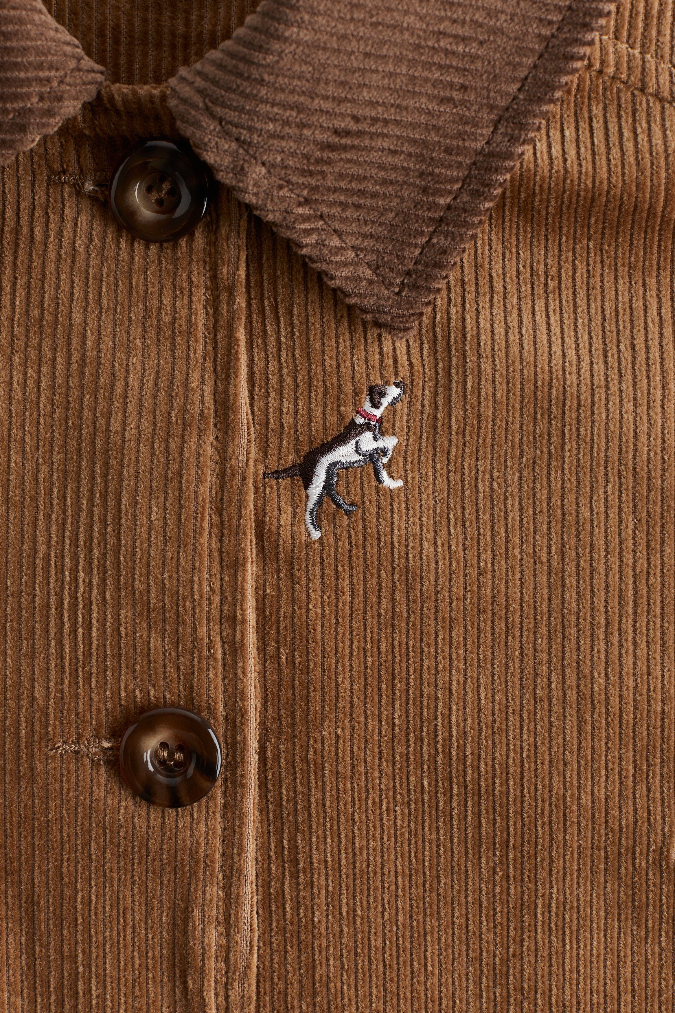 コットンコーデュロイジャケット - ダークベージュ／ドッグ