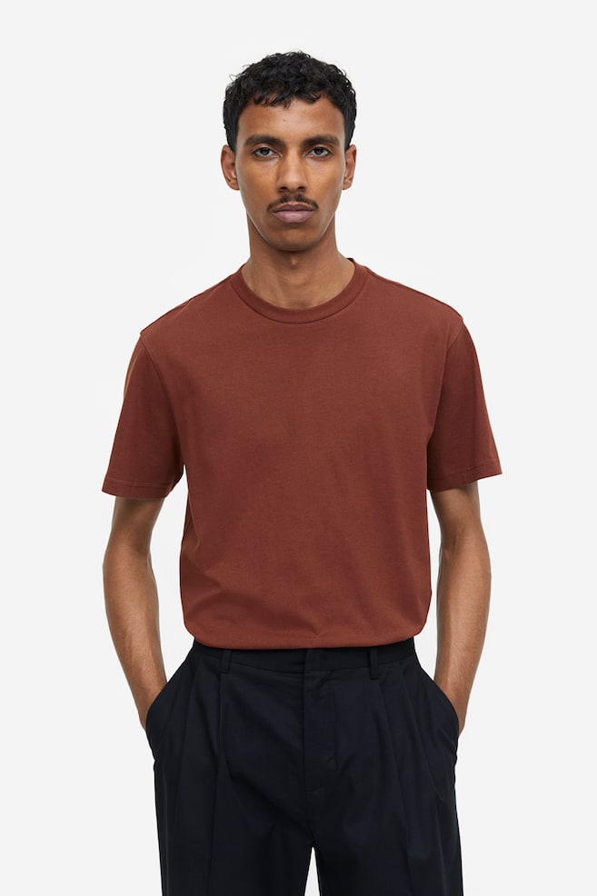 T-shirt Regular Fit - Brun/Ljusblå - 1