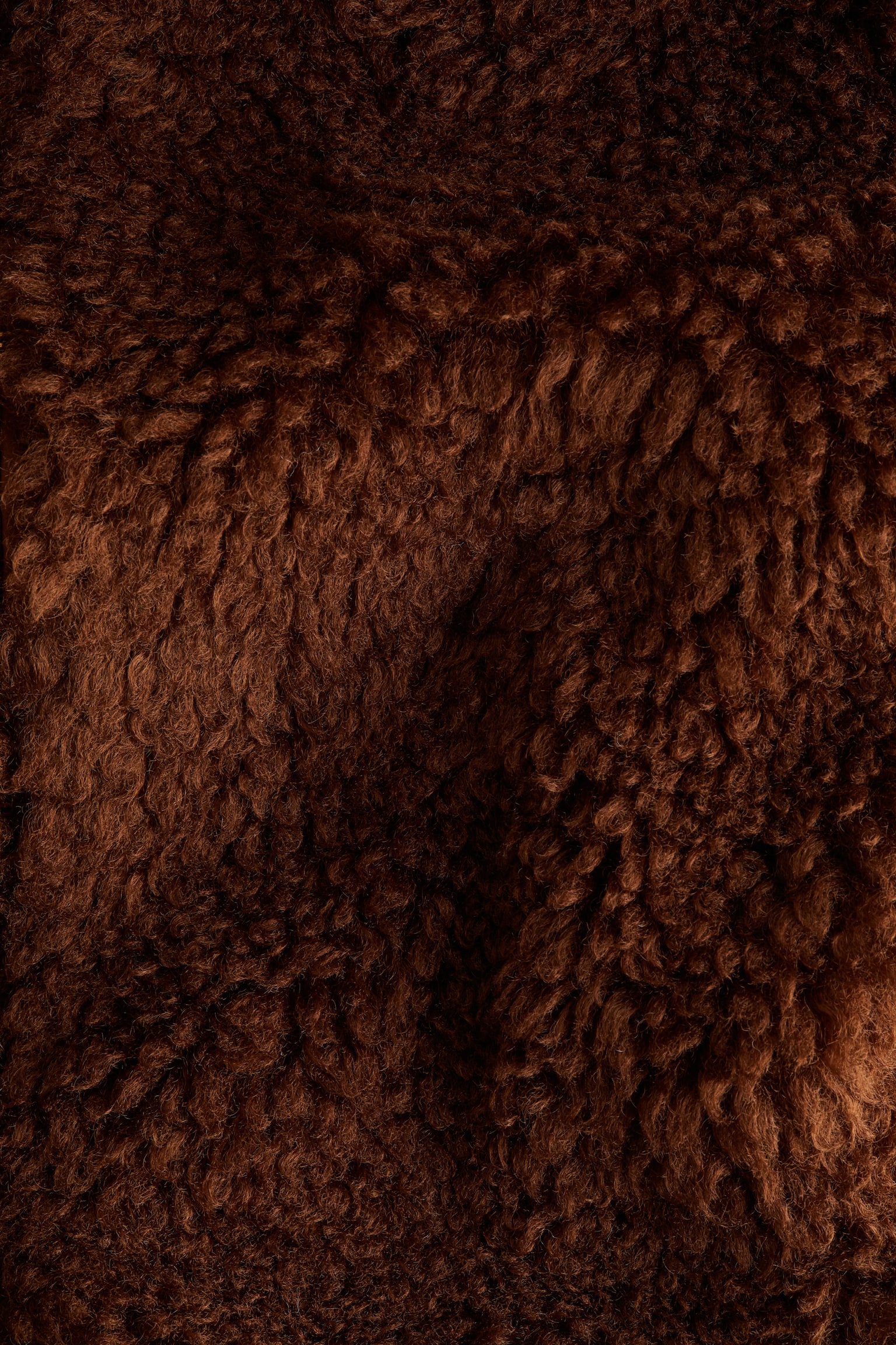 Jacke aus Teddyfleece - Dunkelbraun/Beige - 3