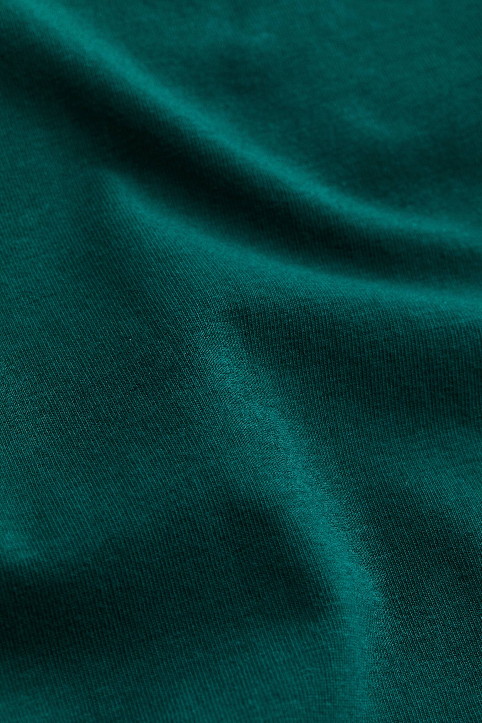 Áo dài tay - Màu xanh lá đậm/Màu xanh dương - 2