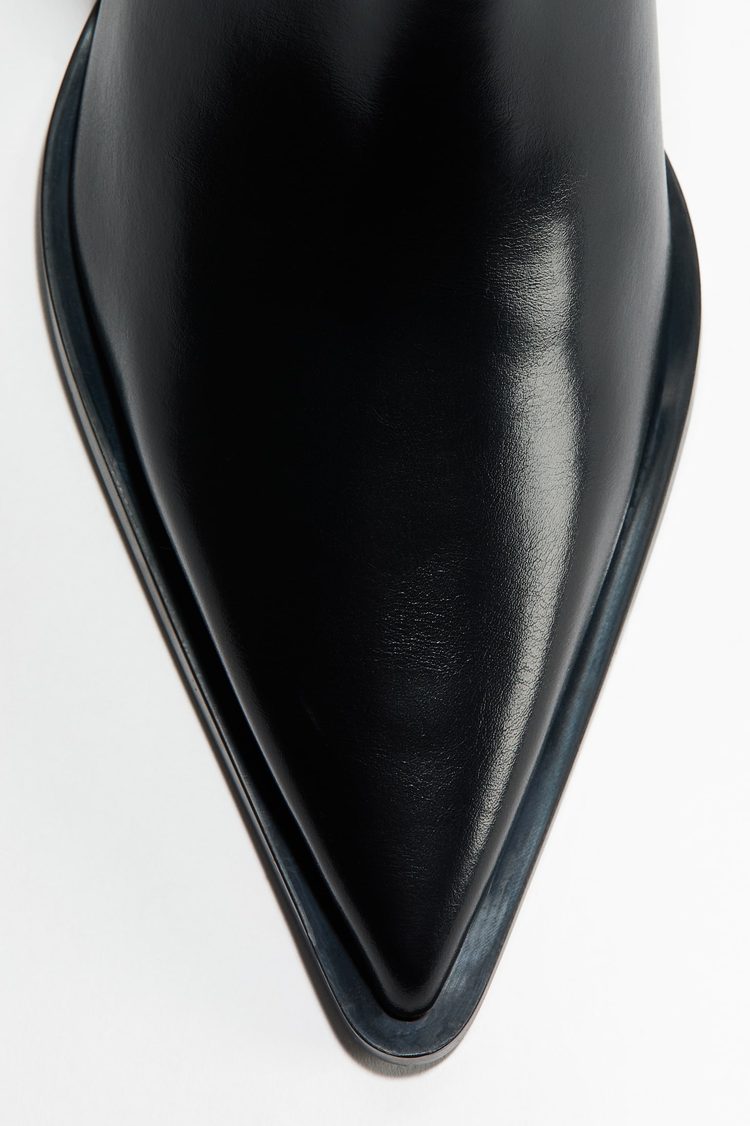 Pointed-toe ankle boots - Black/Dark beige - 3