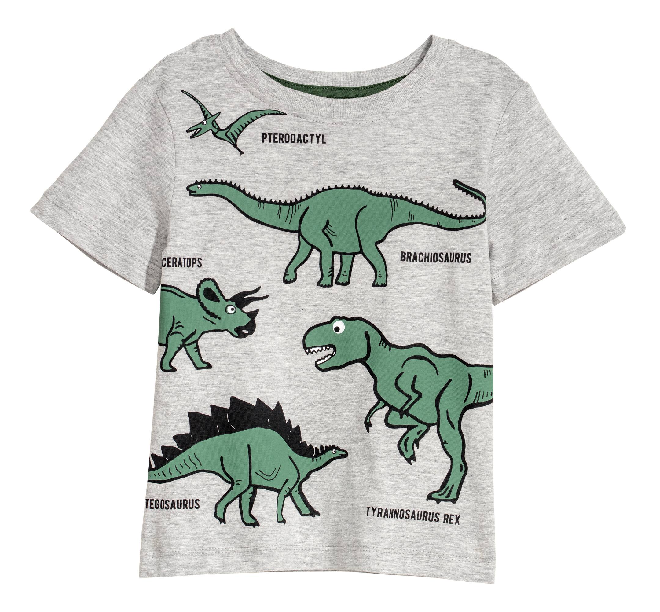 Printed T-shirt - Short sleeve - Grey marl/Dinosaurs - Kids | H&M GB