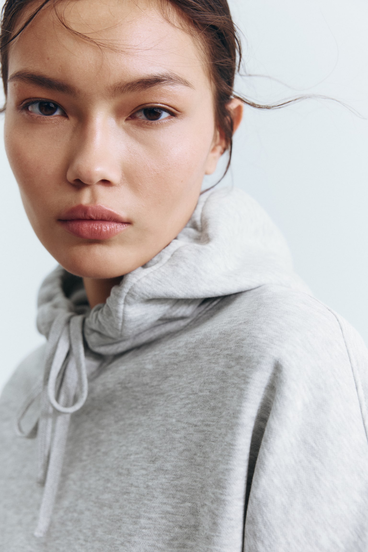 Hoodie - Light gray melange/Navy blue/Brown/Dark plum purple - 3