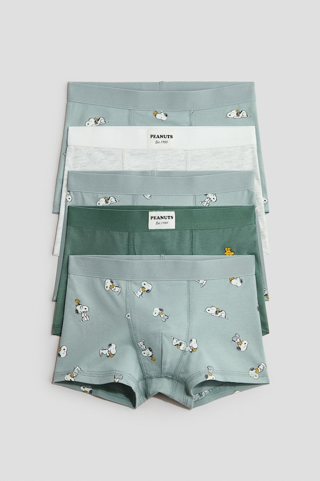 5-pack Printed Boxer Briefs - Dusty turquoise/Snoopy/Ivory/Minecraft/Dusty green/Minecraft/Light gray melange/Batman/Dark turquoise/Pokémon - 1