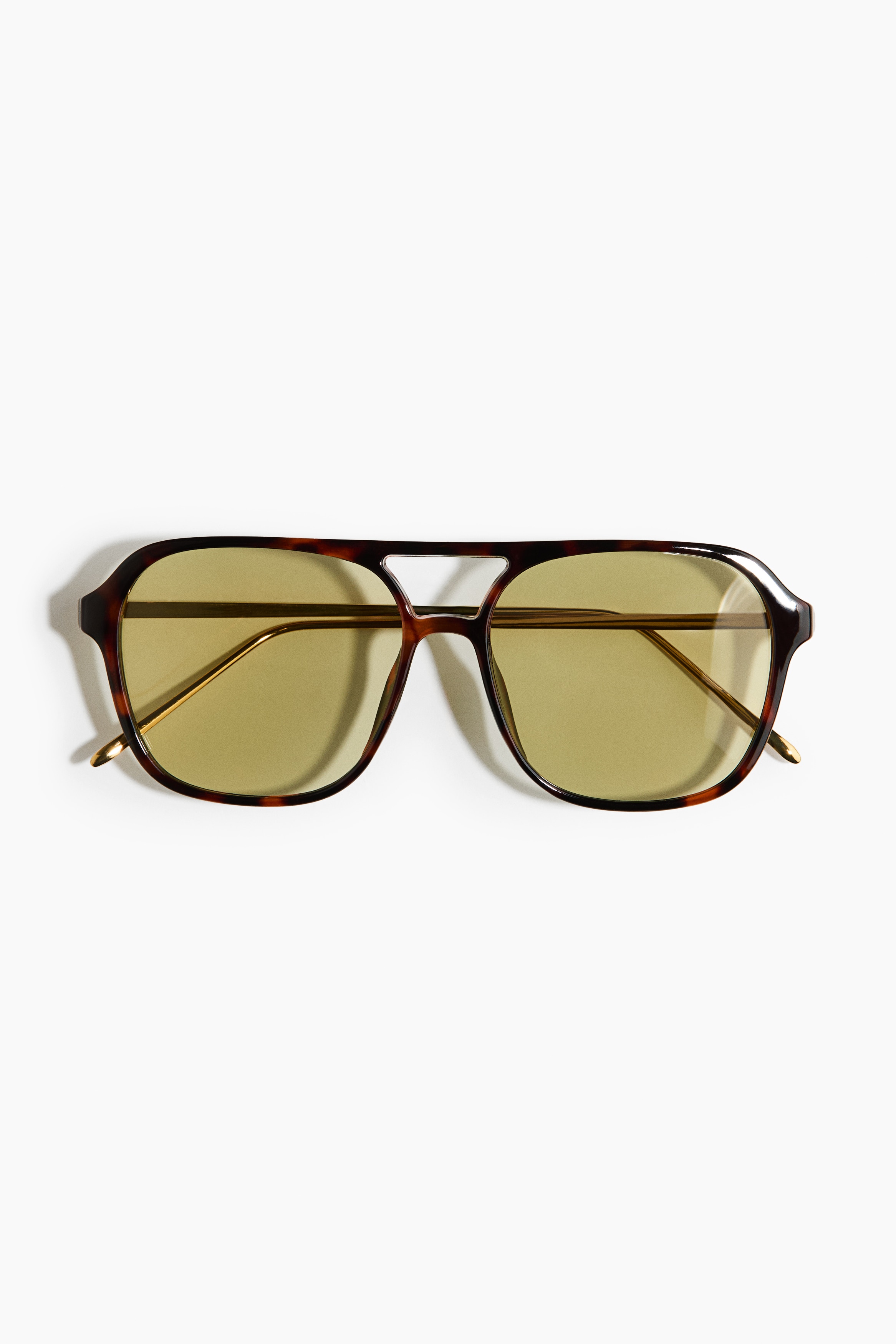 Polarized Sunglasses - Brown/tortoiseshell pattern/Taupe/Dark brown