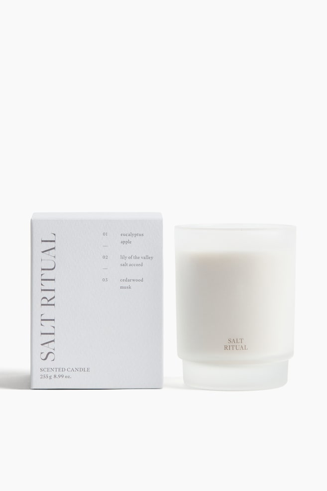 A cylindrical scented candle in a frosted glass container contains white wax and displays 'SALT RITUAL' on its lower front. It is presented alongside its rectangular white packaging box, which features 'SALT RITUAL' vertically, 'SCENTED CANDLE 255 g 8.99 oz.', and a list of scent notes: eucalyptus, apple, lily of the valley, salt accord, cedarwood, and musk. - 1