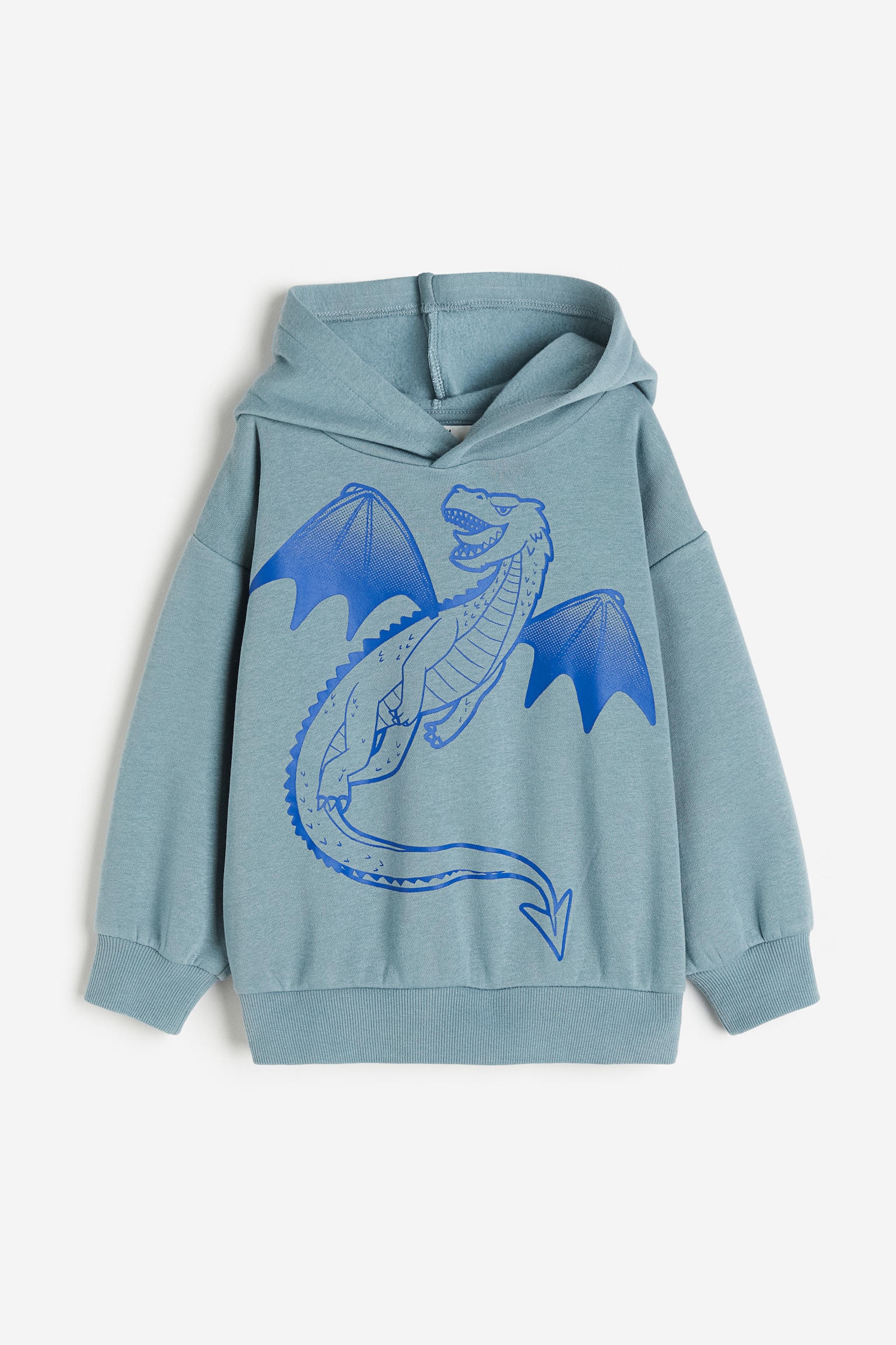 Print Hoodie - Turquoise/Dragon/Black/Spaceship/Dark blue/Paris/Red/Go Team/Green/Dinosaurs/Black/Dinosaur - 1