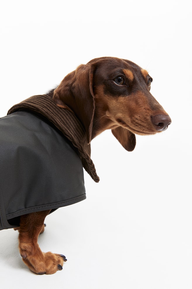 Vahattu koiran takki - Tummanvihreä - 5