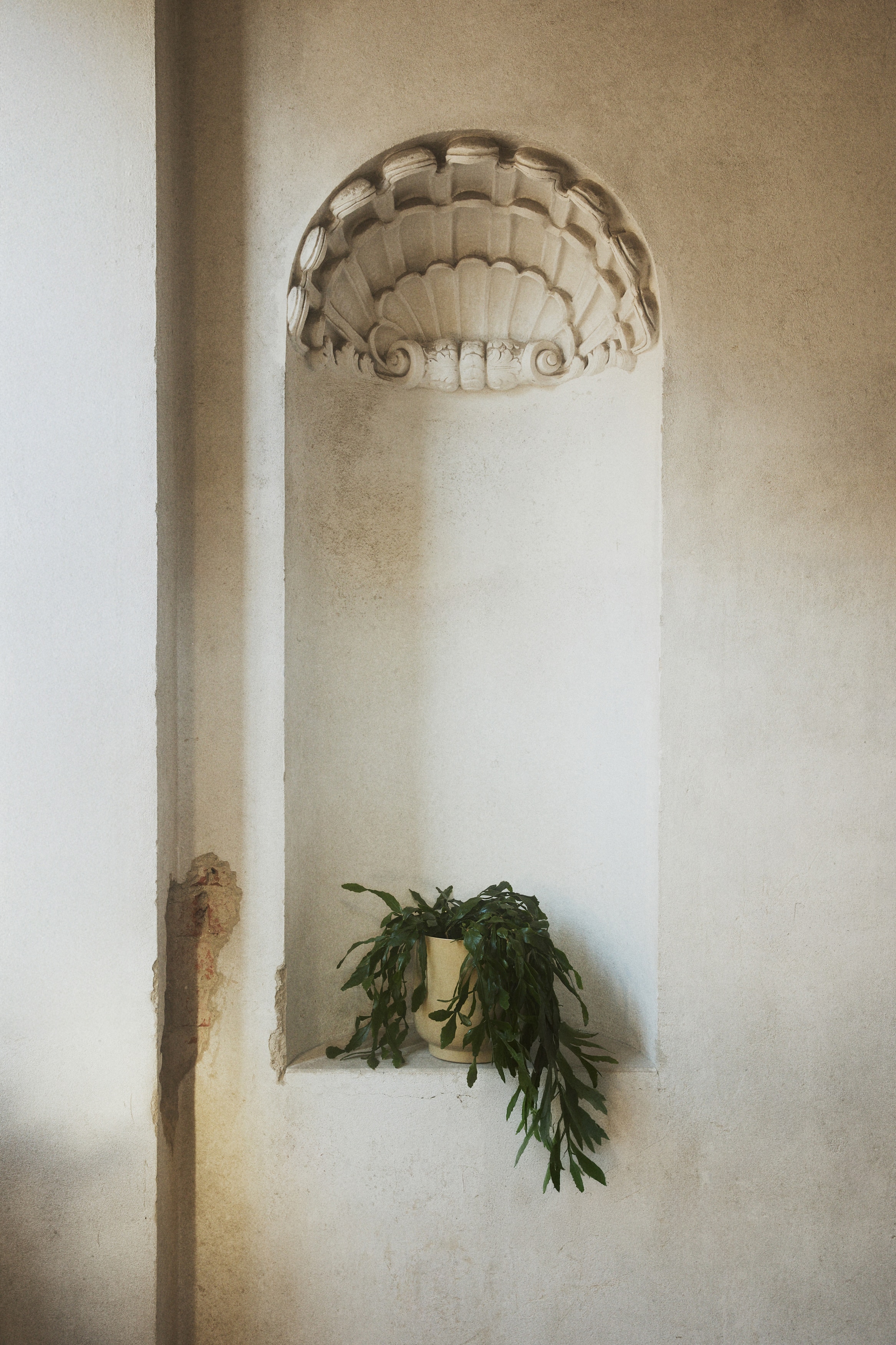 Grand cache-pot en métal - Beige/Marron foncé/Vert kaki