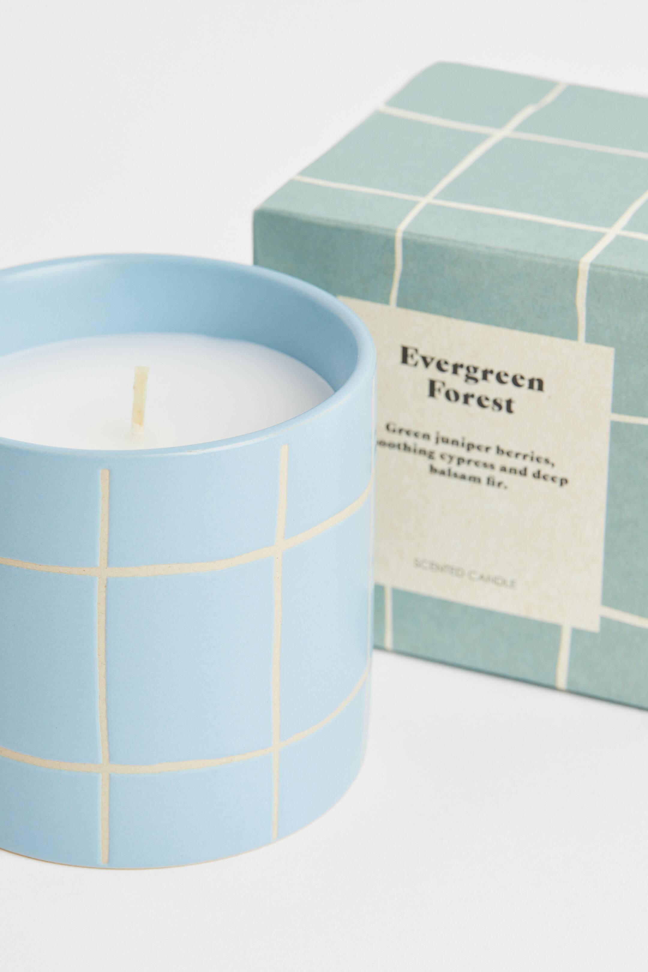 Scented Candle in Ceramic Holder Light blue/Evergreen Forest Home All H&M US