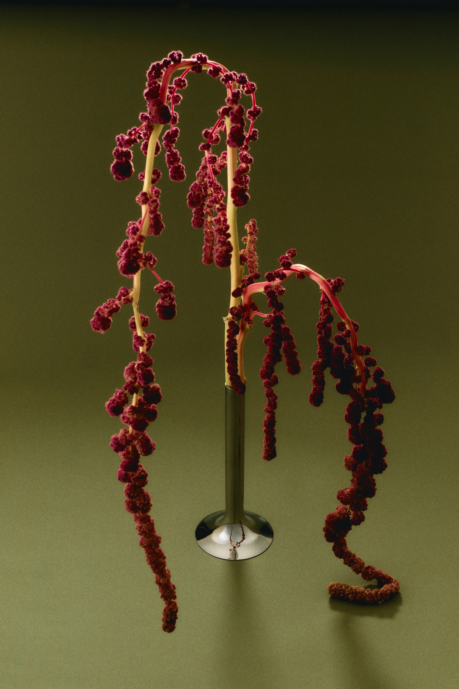 Tall stainless steel bud vase - Silver-coloured - 3