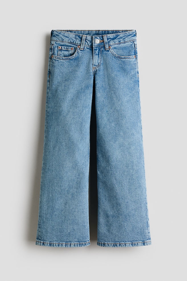Wide Leg Low Jeans - Bleu denim/Beige clair/imprimé léopard/Bleu denim clair - 1
