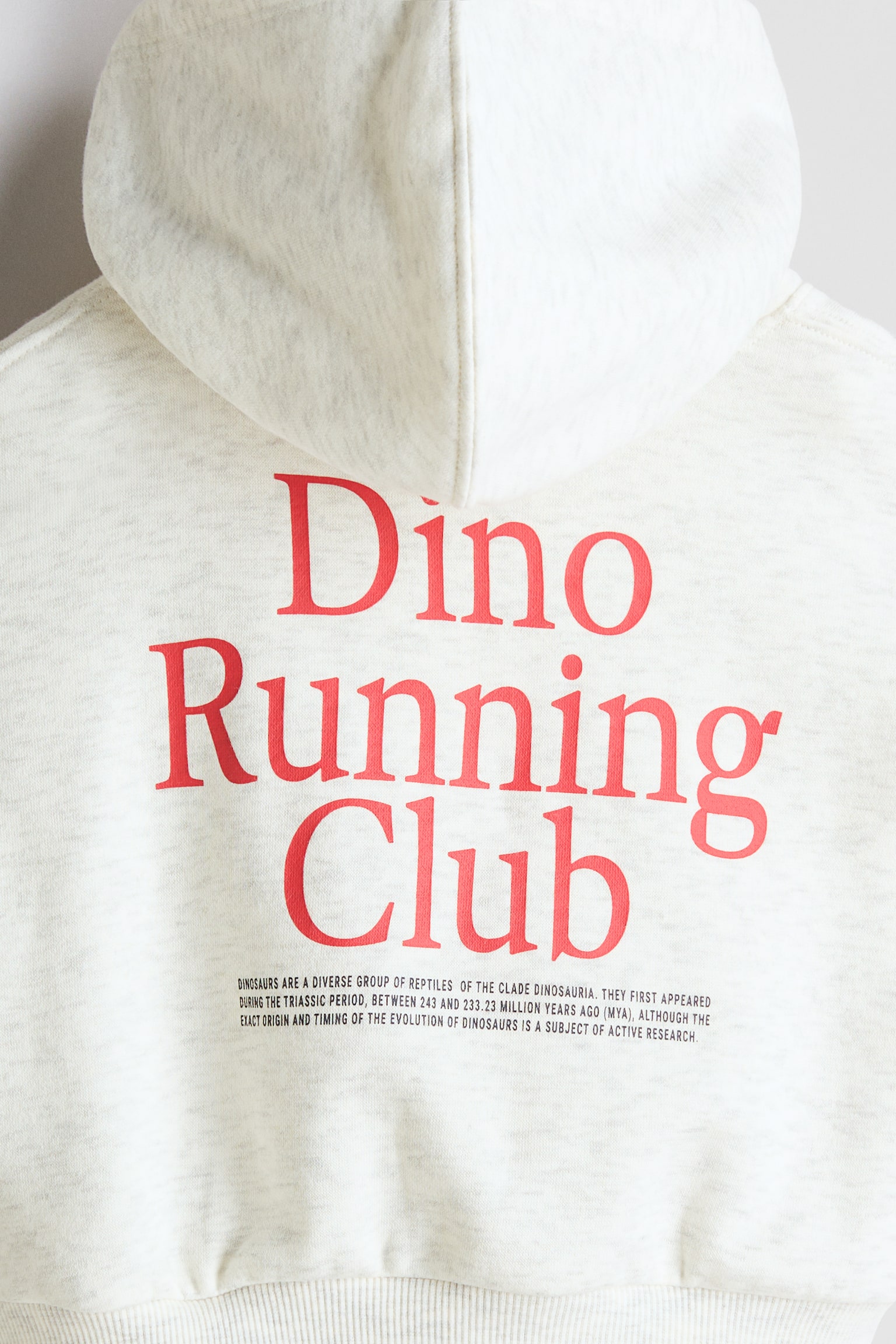 Printed hoodie - Light grey/Dino Running - 4