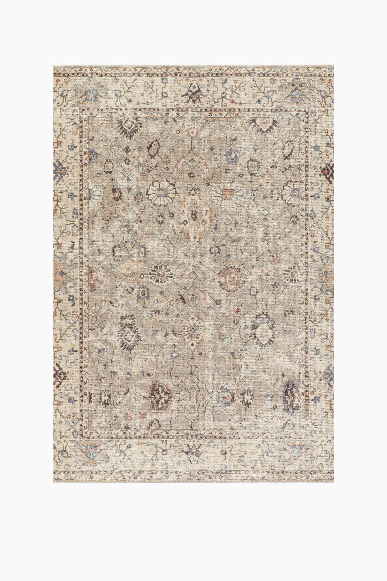 Raveena Oriental Vintage Area Rug - Multicolour, Brown - 2