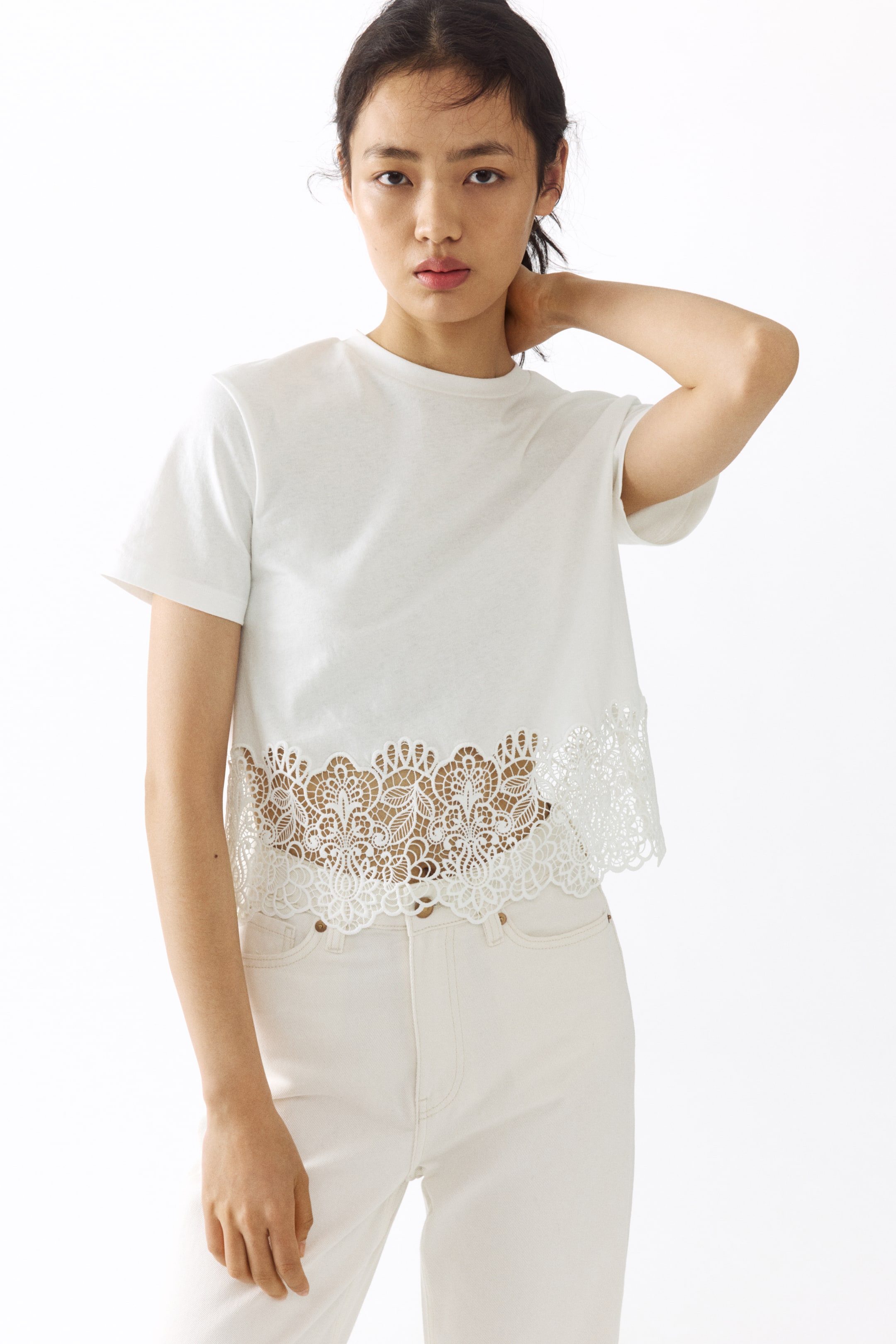 View larger image: The model is wearing a white cotton jersey T-shirt featuring a round, ribbed neckline and short sleeves. Its cropped hem is accented with a wide, ornate lace trim.
