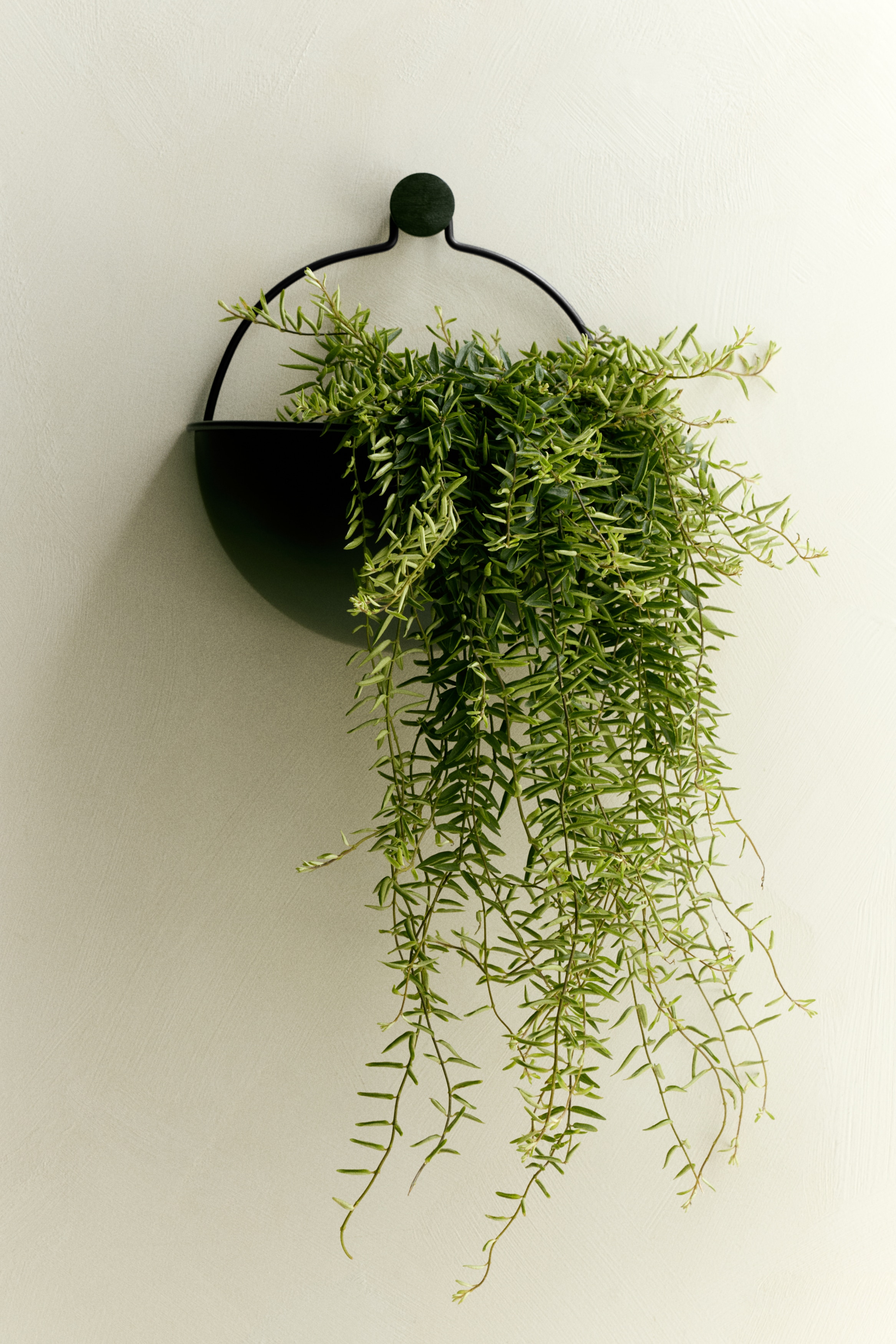 Wall-Mount Plant Pot - Black/Light beige/Olive green