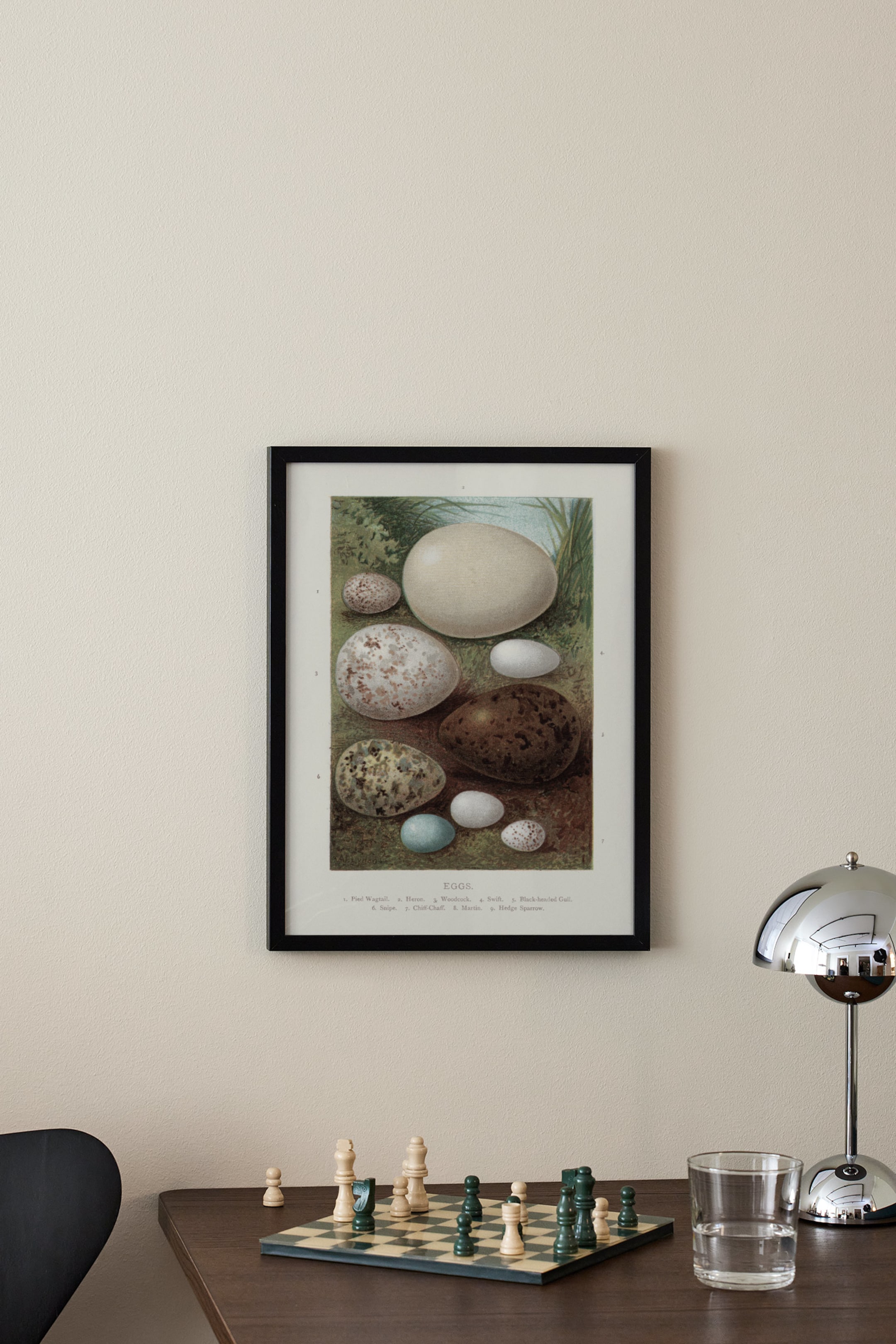 Grotere afbeelding bekijken: Vintage Bird Eggs Poster - Beige/bruin/groen - Postery - HOME | H&M NL 1