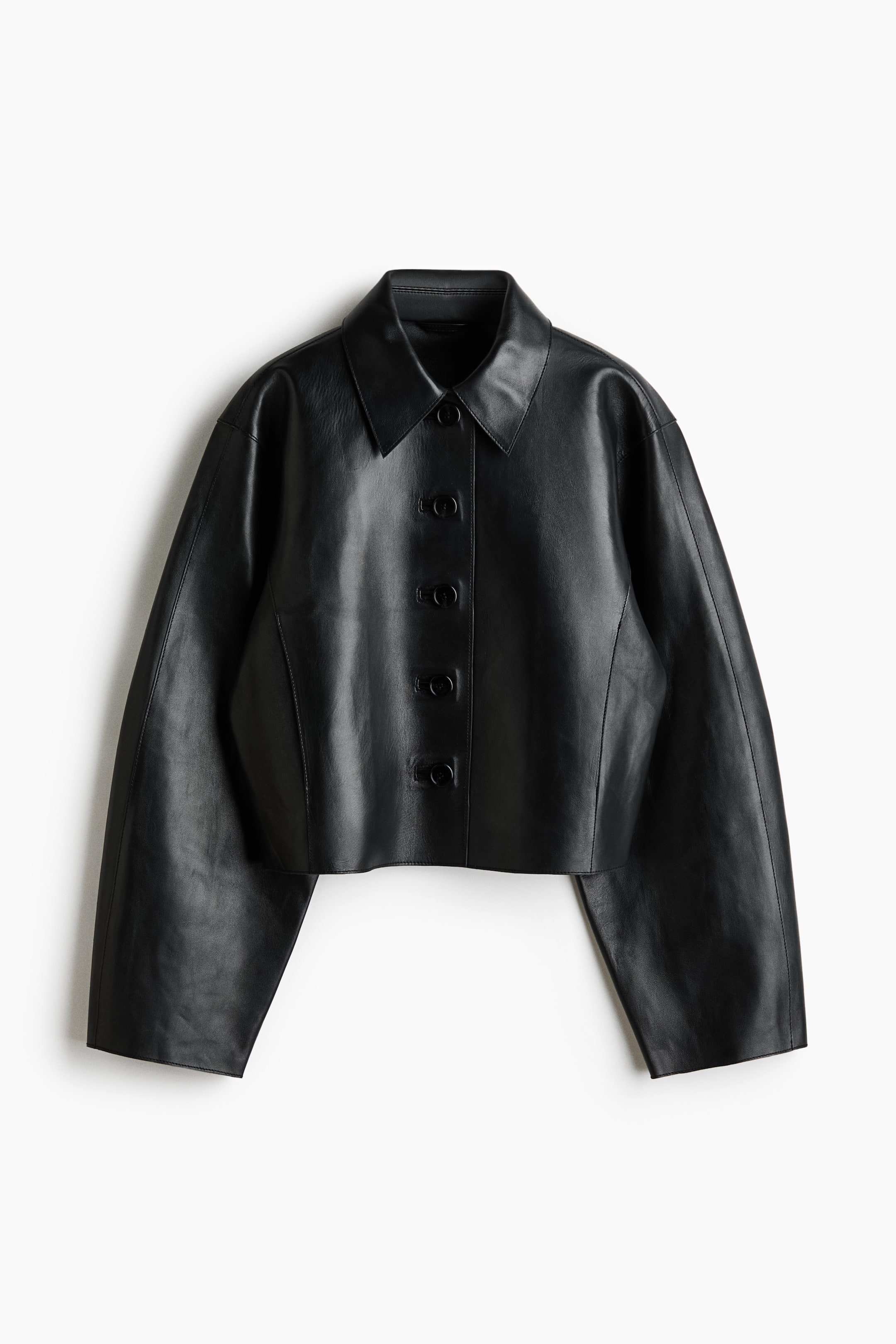 Leather Jacket with Collar