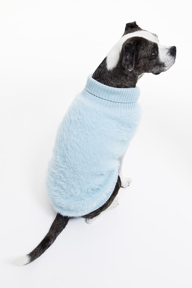 Fluffy dog jumper - Light blue/White - 5