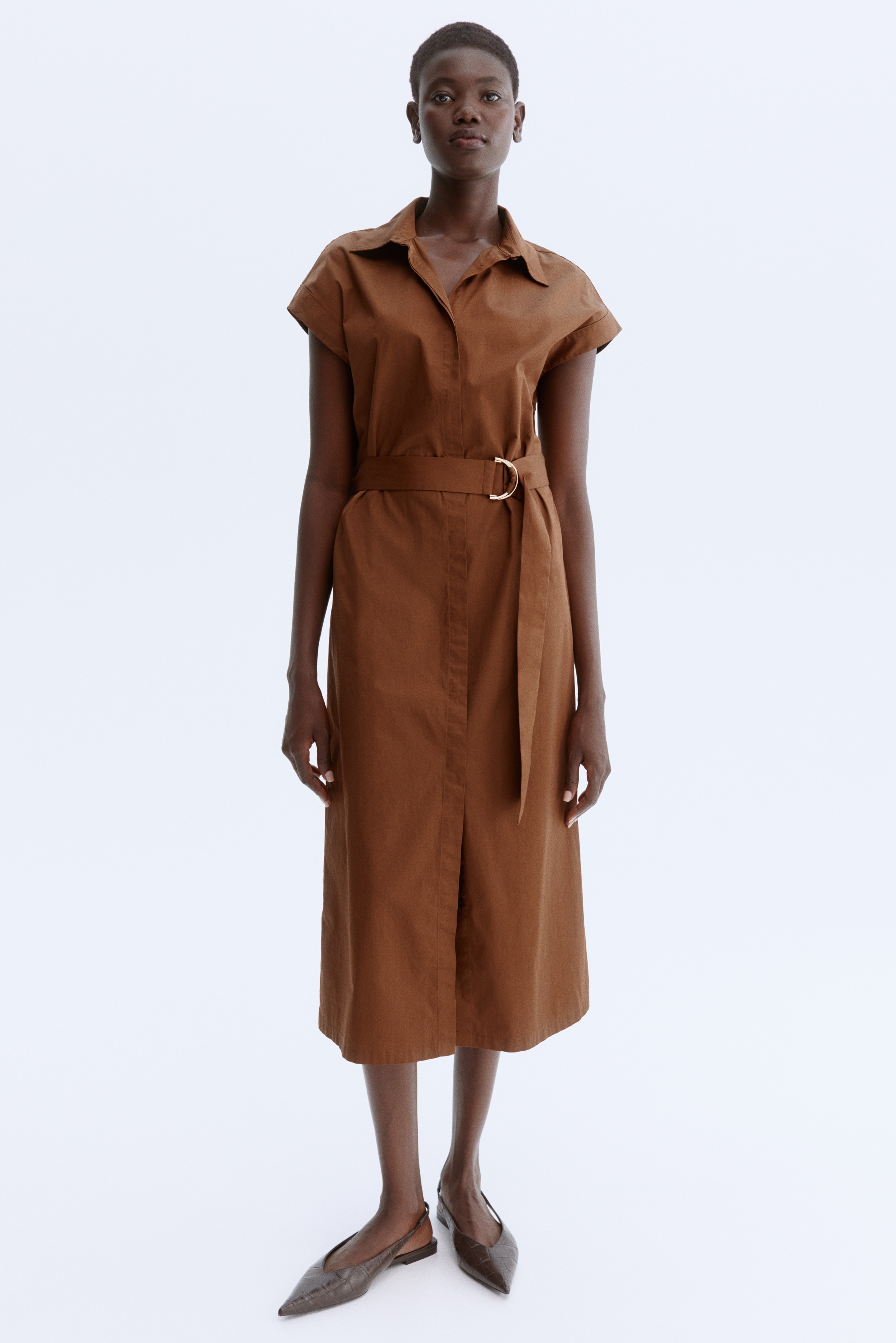 Belted Poplin Shirt Dress - Brown - Ladies | H&M US