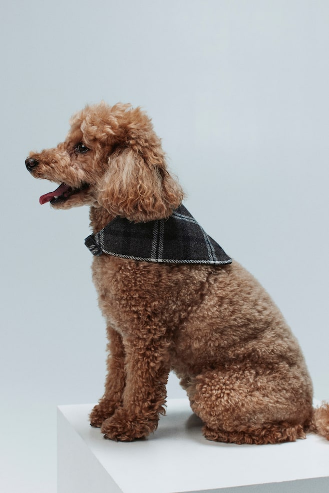 Dog Scarf - Dark gray/plaid/Pale pink/plaid - 5
