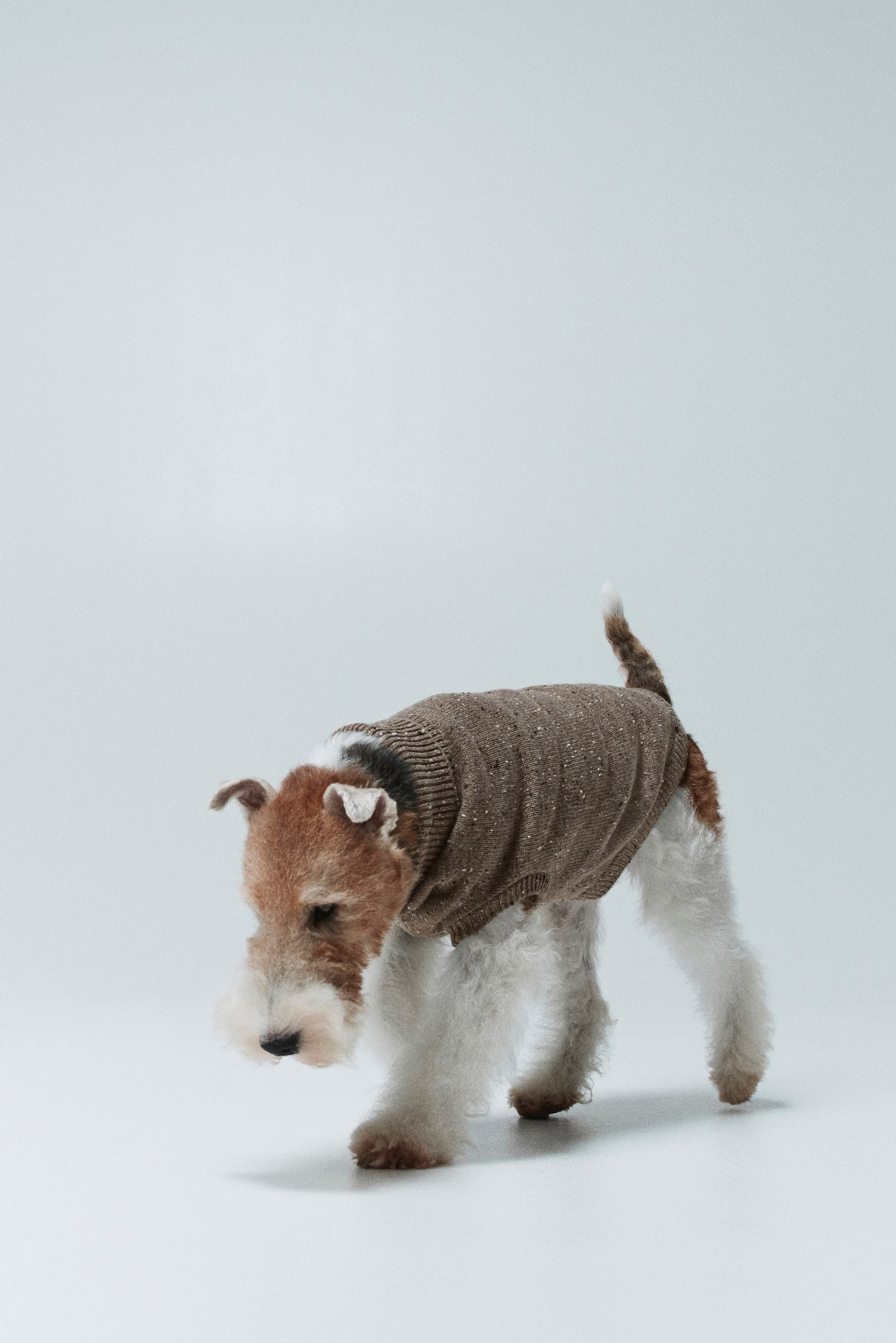 Fine-knit dog jumper - Beige marl/Grey marl/Dark beige marl/Dark brown - 4