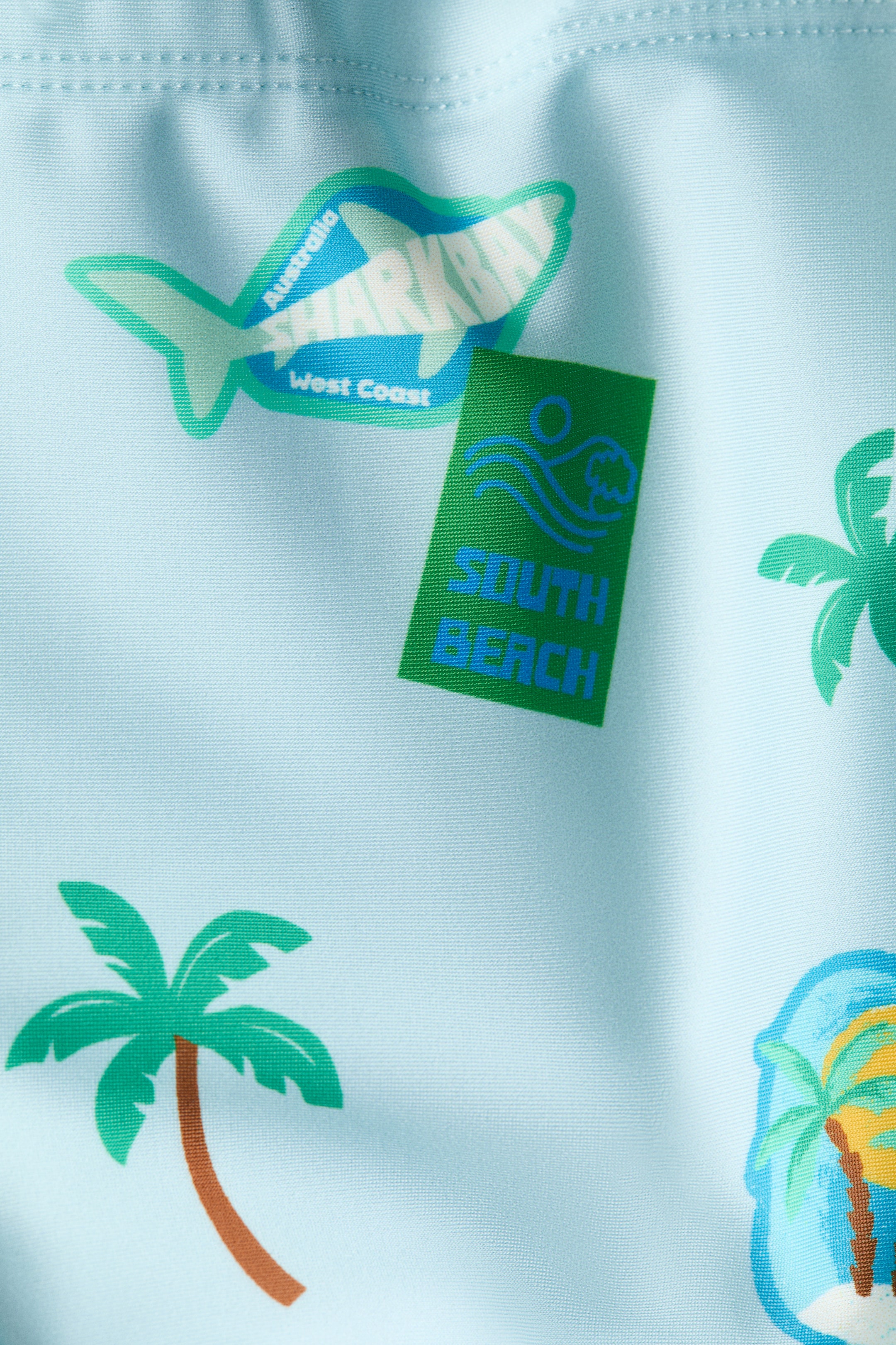 Printed Swim Trunks