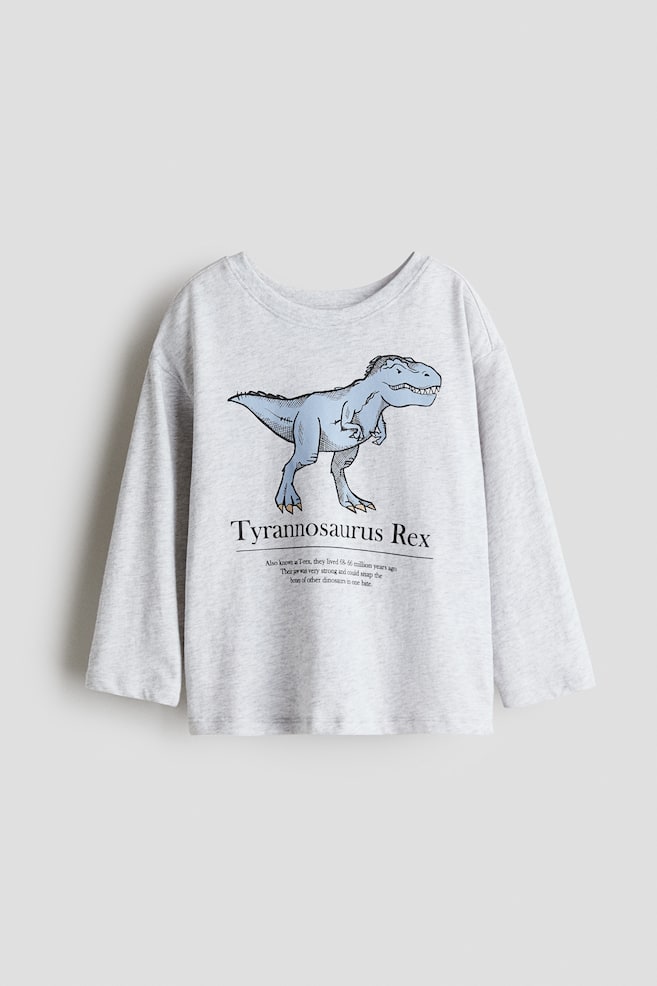 Katoenen T-shirt met motief - Lichtgrijs/dinosaurus/Oranje/uitgeholde pompoen/Wit/Jolly Holly/Wit/beren/Zwart/skelet - 1