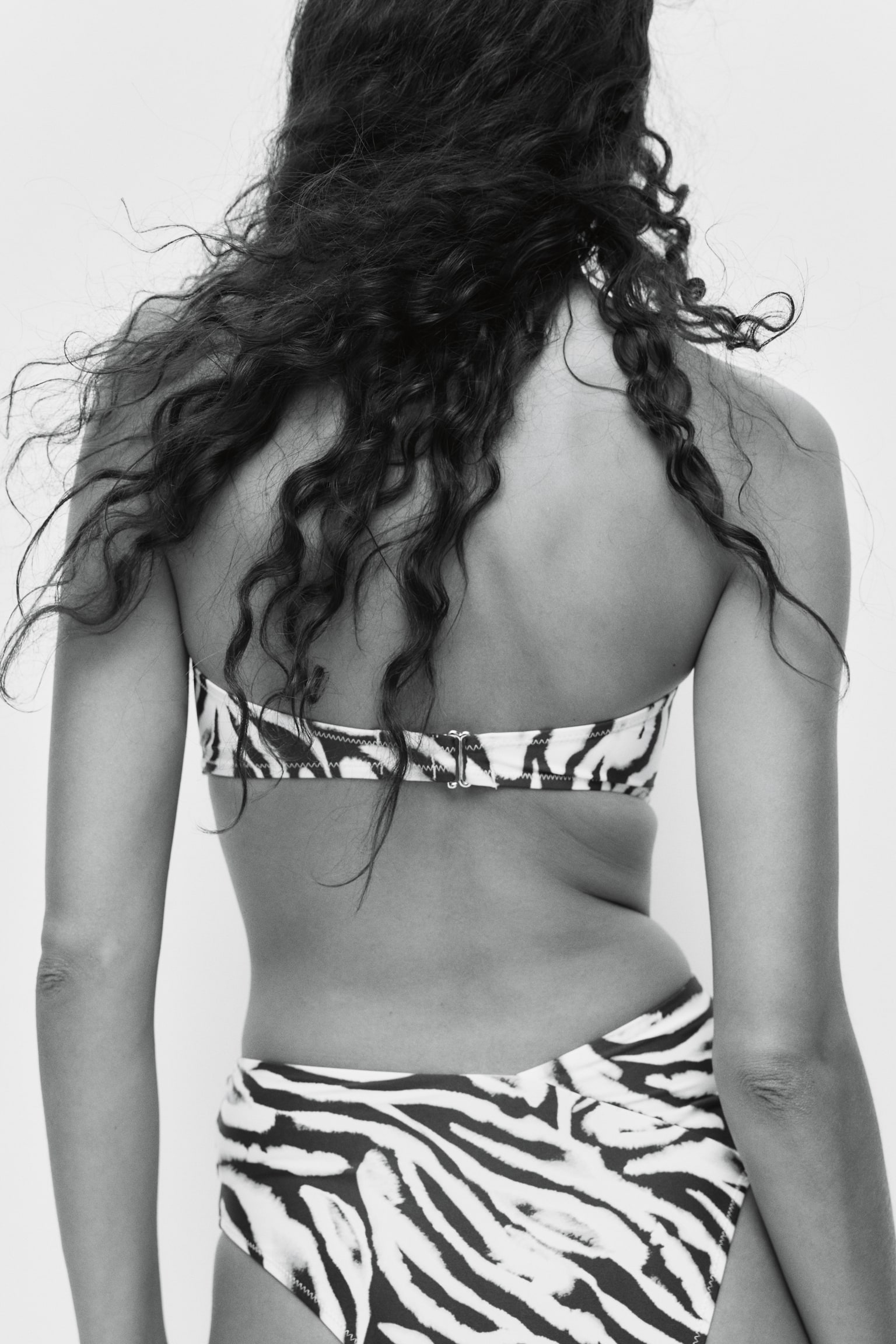 Bragas de bikini High Rise Cheeky - Blanco/Diseño de cebra/Negro/Verde/Rojo - 5