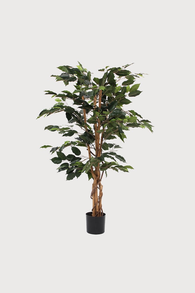 Ficus plante artificielle - Vert/Vert; Panaché - 1