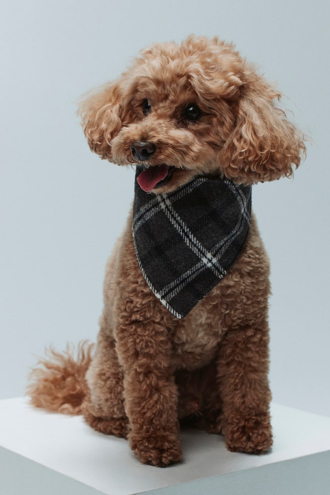 Dog Scarf - Dark gray/plaid/Pale pink/plaid - 2