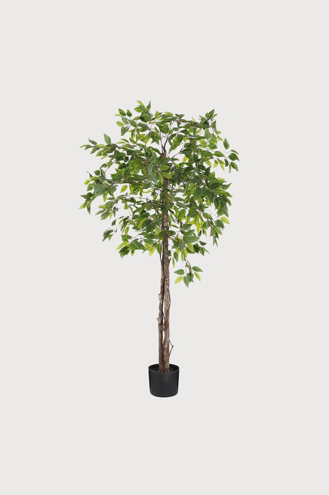 Ficus plante artificielle - Vert - 1